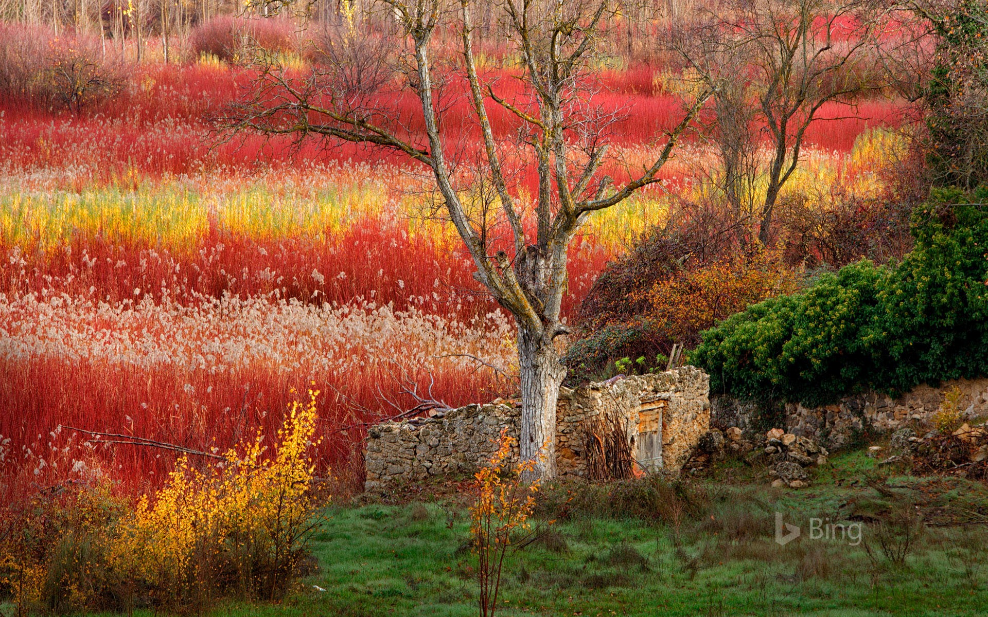 Wicker Field Wallpapers - Wallpaper Cave