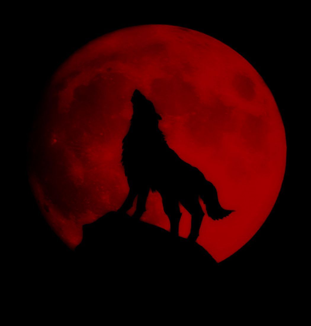 Red Moon Wolf Wallpaper Free Red Moon Wolf Background