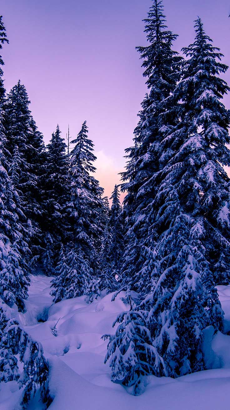 x Winter Landscapes iPhone Wallpaper Collection. Preppy Wallpaper. Winter landscape, Winter scenery, Wallpaper iphone christmas