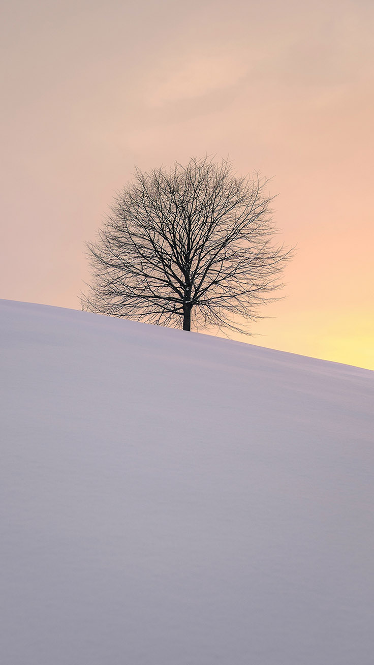 13 x Winter Landscapes iPhone Wallpapers Collection