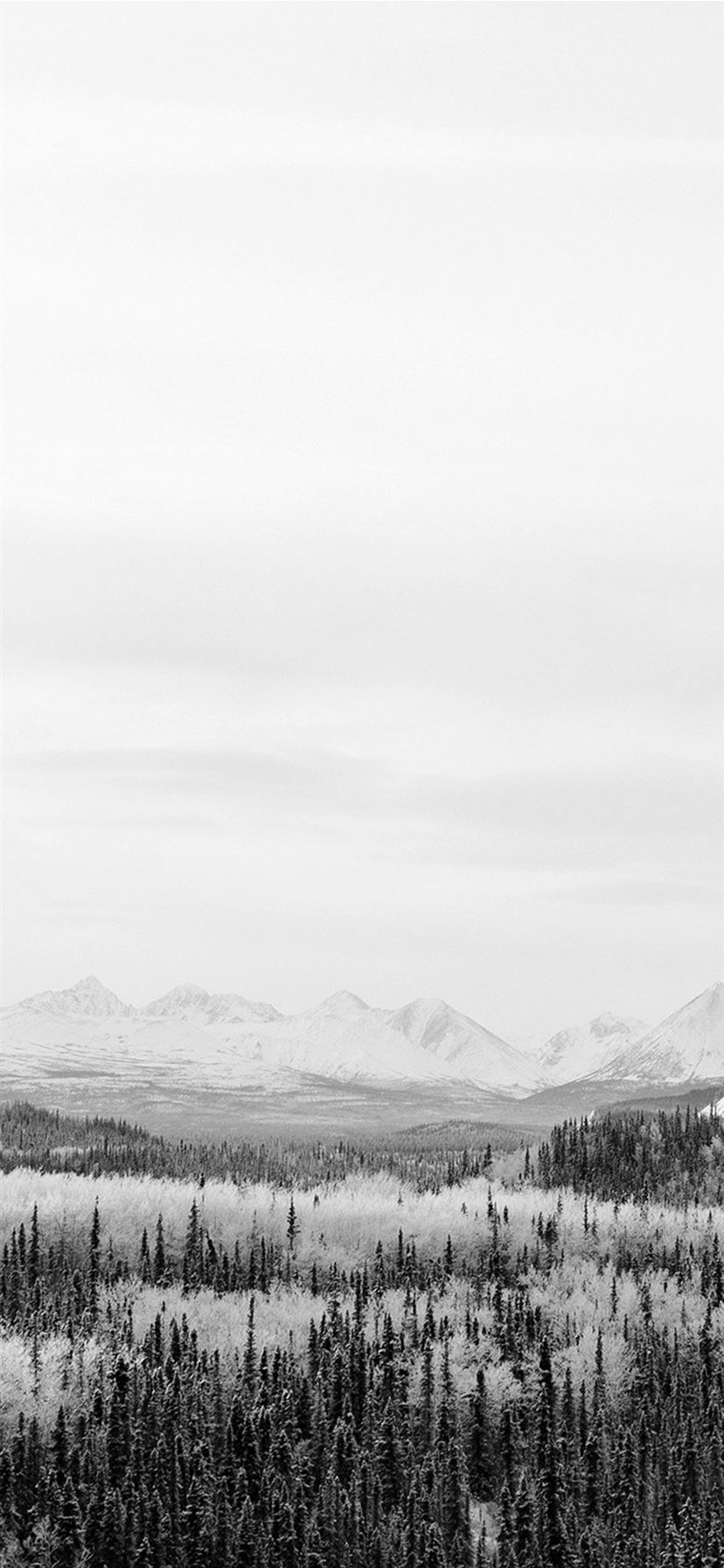 Winter Mountain Wood Nature Snow Bw iPhone 11 Wallpaper Free Download