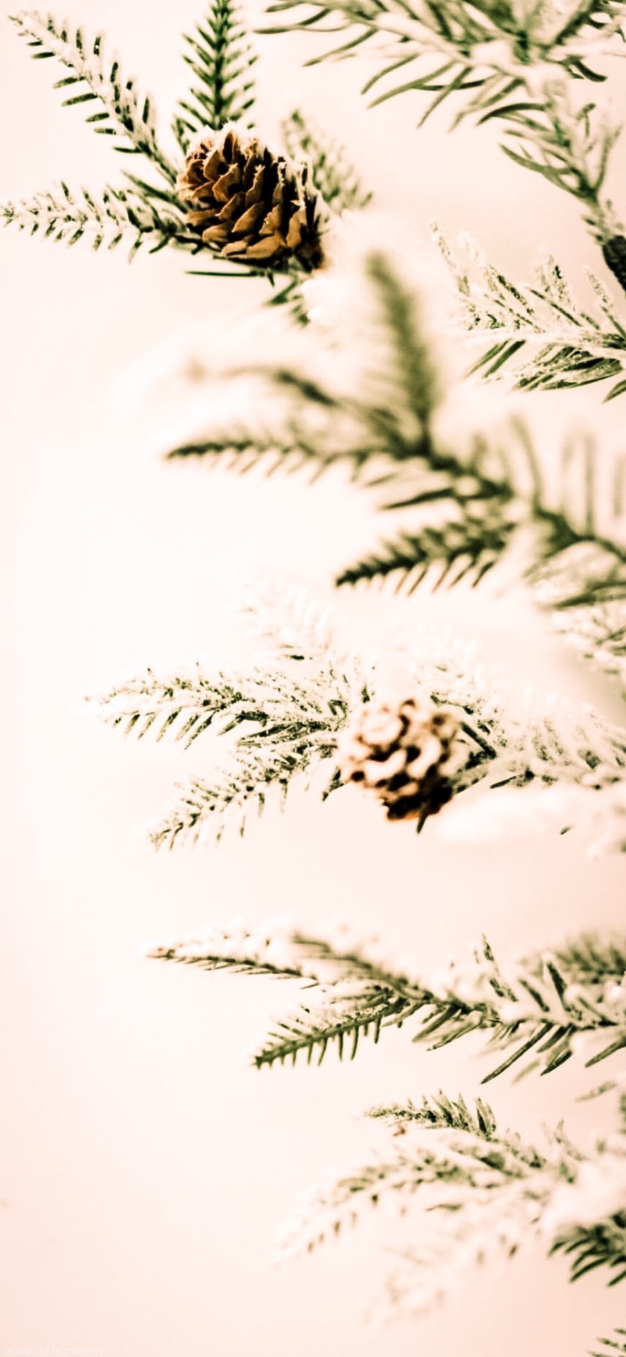 Moments of Randomness