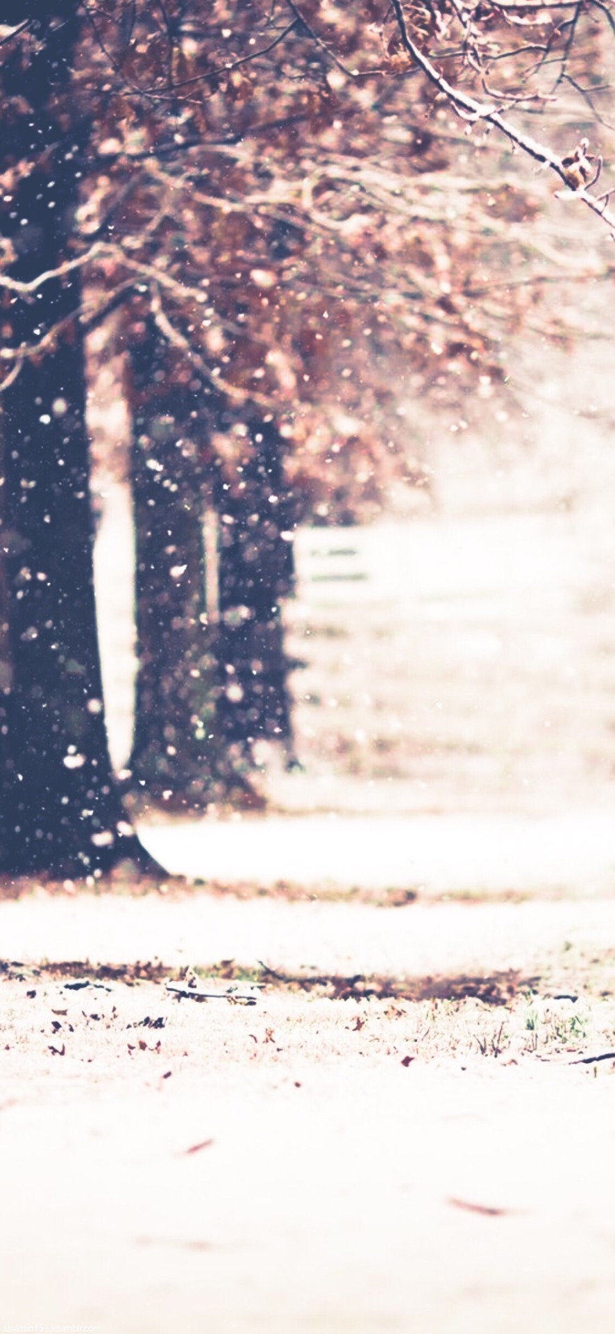 Winter iPhone Pro Wallpapers - Wallpaper Cave