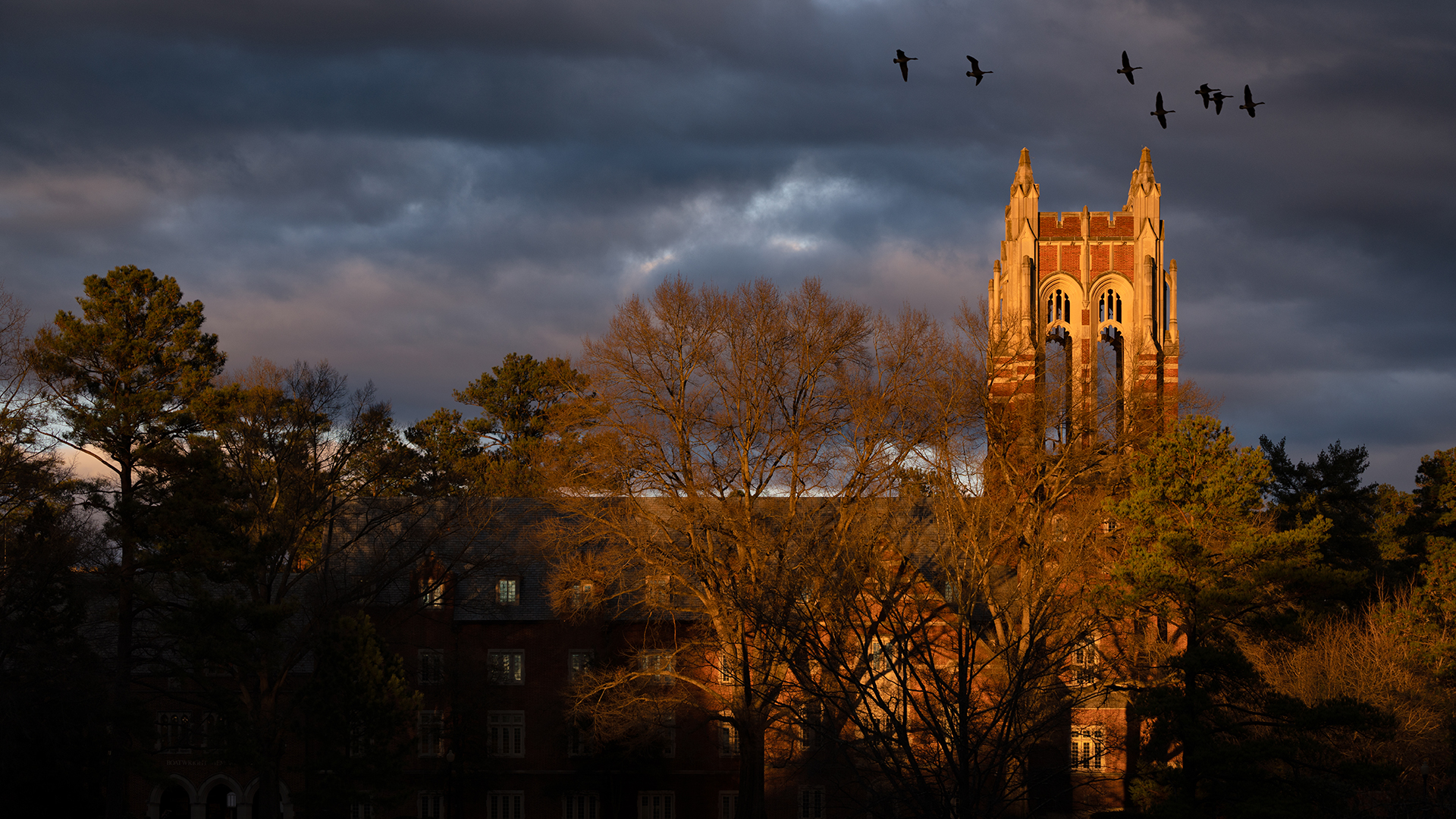Autumn Library Wallpapers Wallpaper Cave