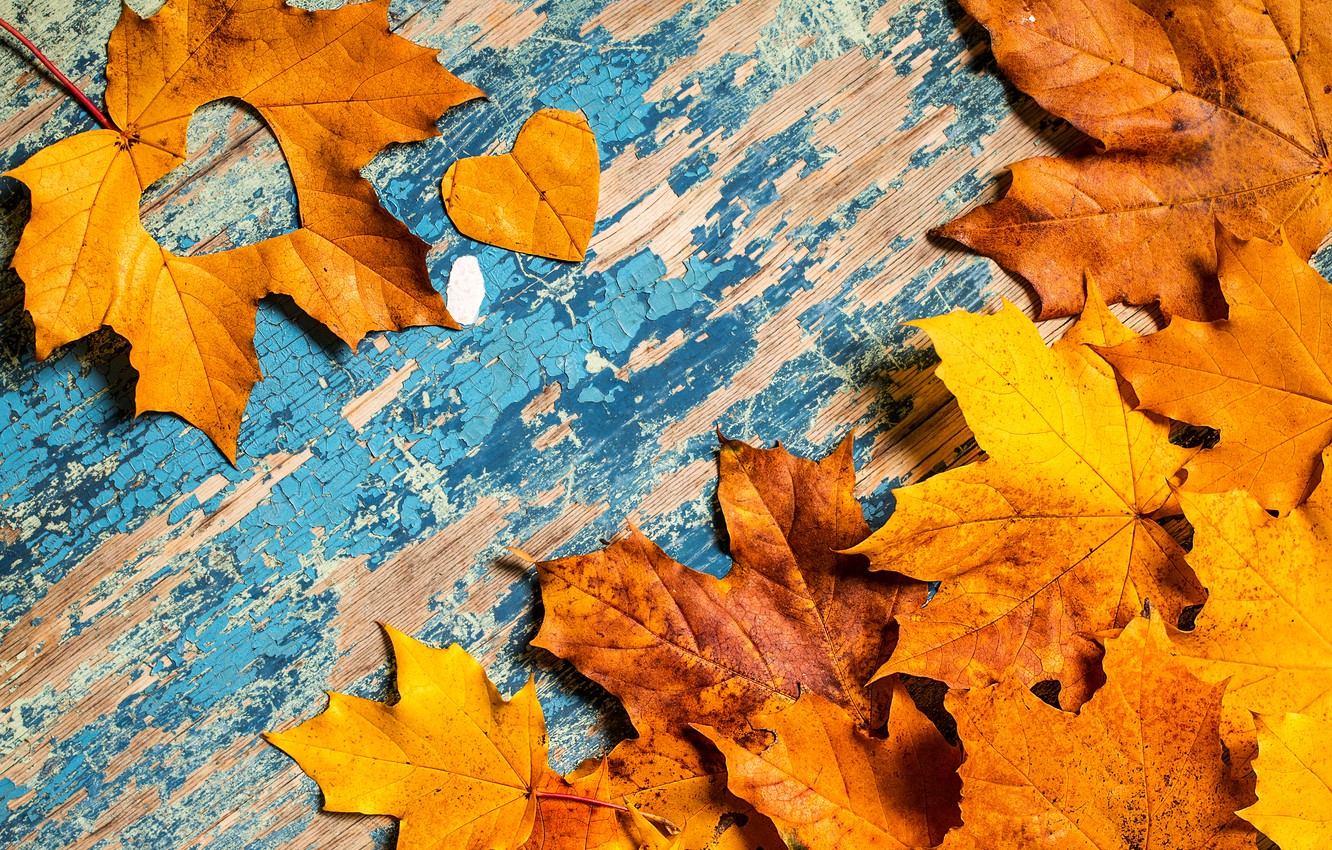 Wallpaper autumn, leaves, love, heart, love, maple, heart, yellow, wood, autumn, leaves, grunge, maple image for desktop, section настроения