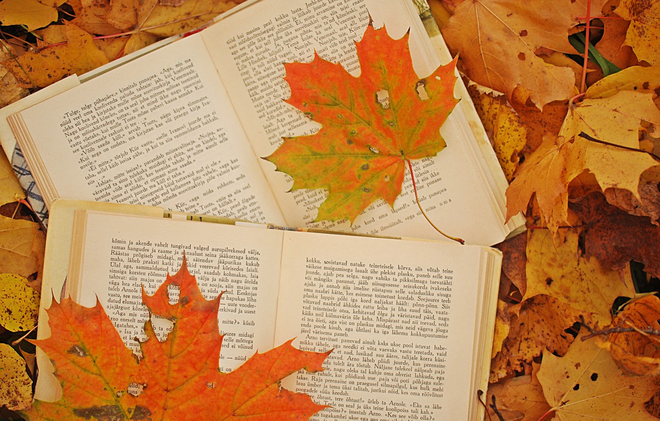 Wallpaper autumn, leaves, photo, books, maple image for desktop, section разное