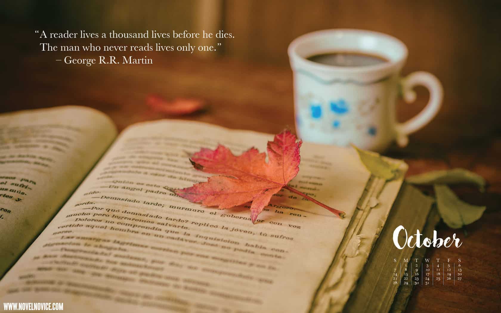 Autumn And Book Cosy