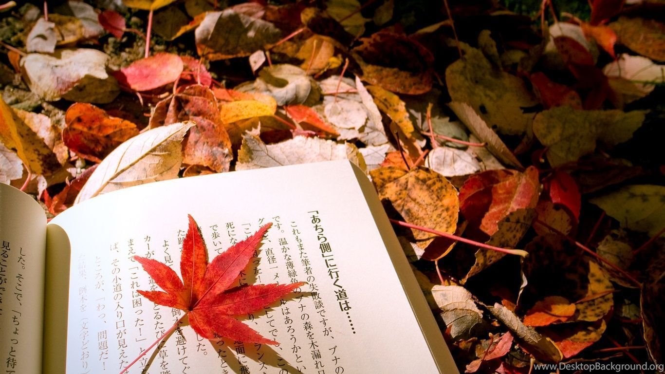 Autumn Leaves Japanese Book Wallpaper Desktop Background