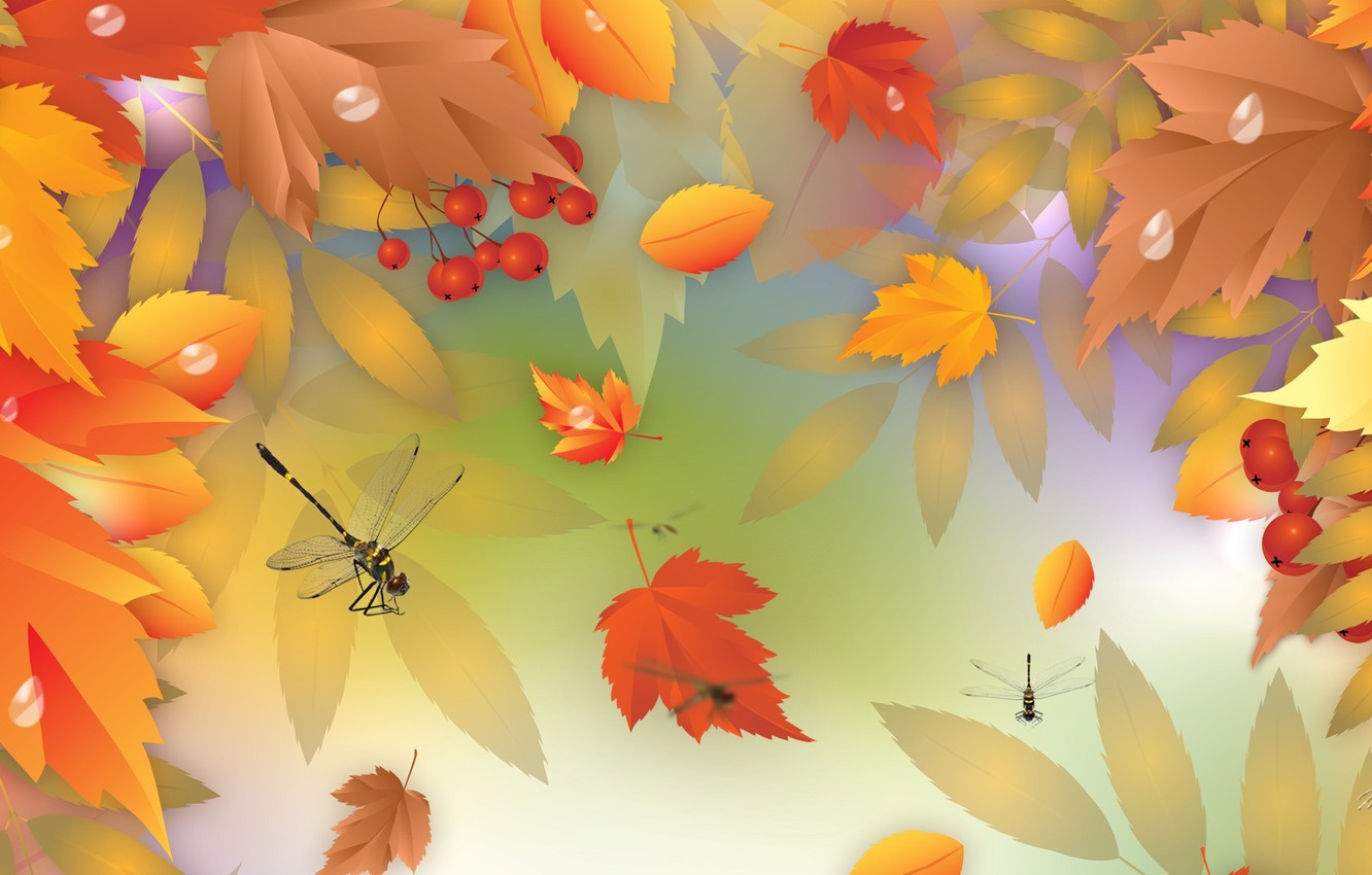 Wallpaper autumn, leaves, berries, vector, dragonfly image for desktop, section природа