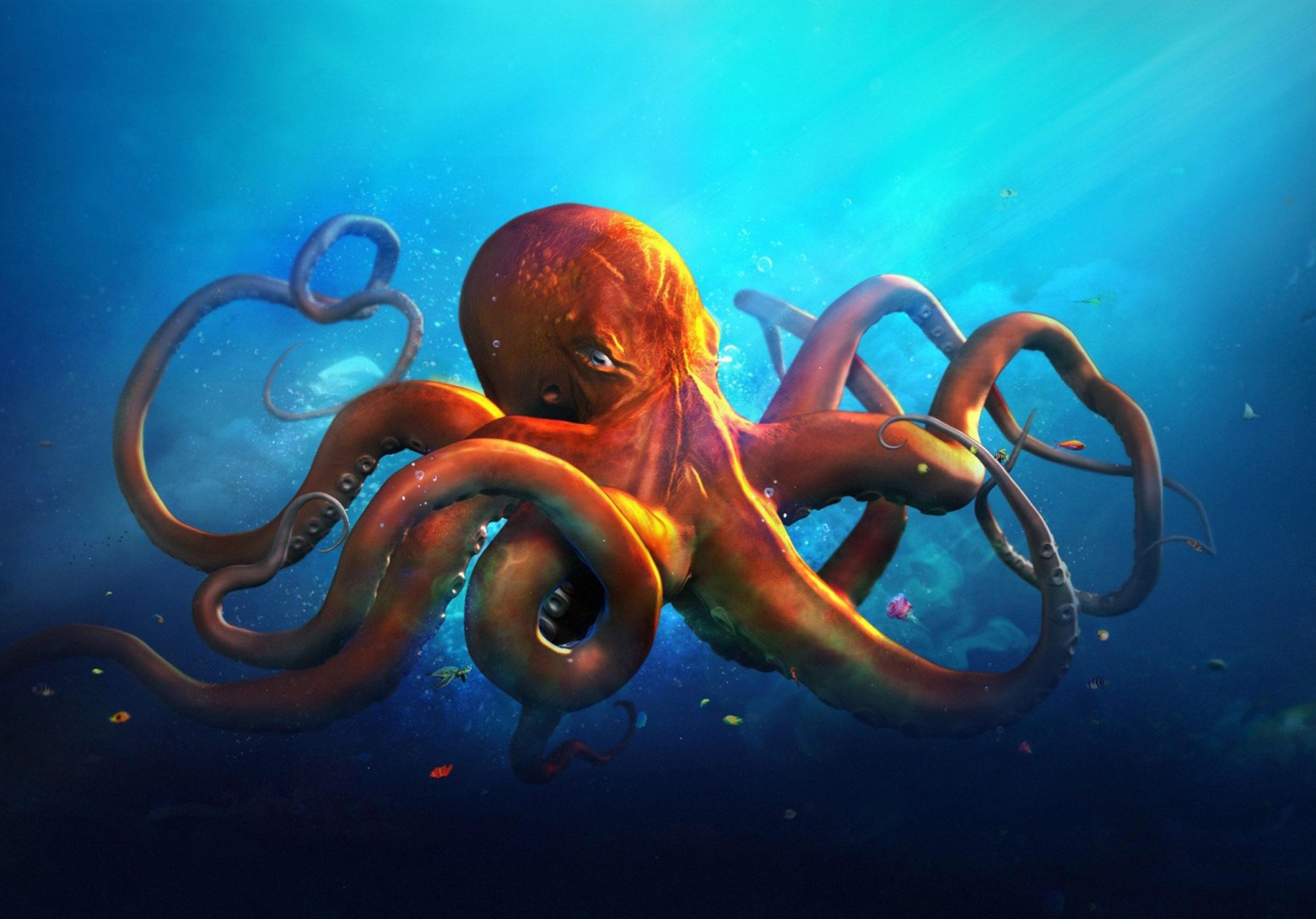 Orange Octopus 3D Desktop HD Wallpaper