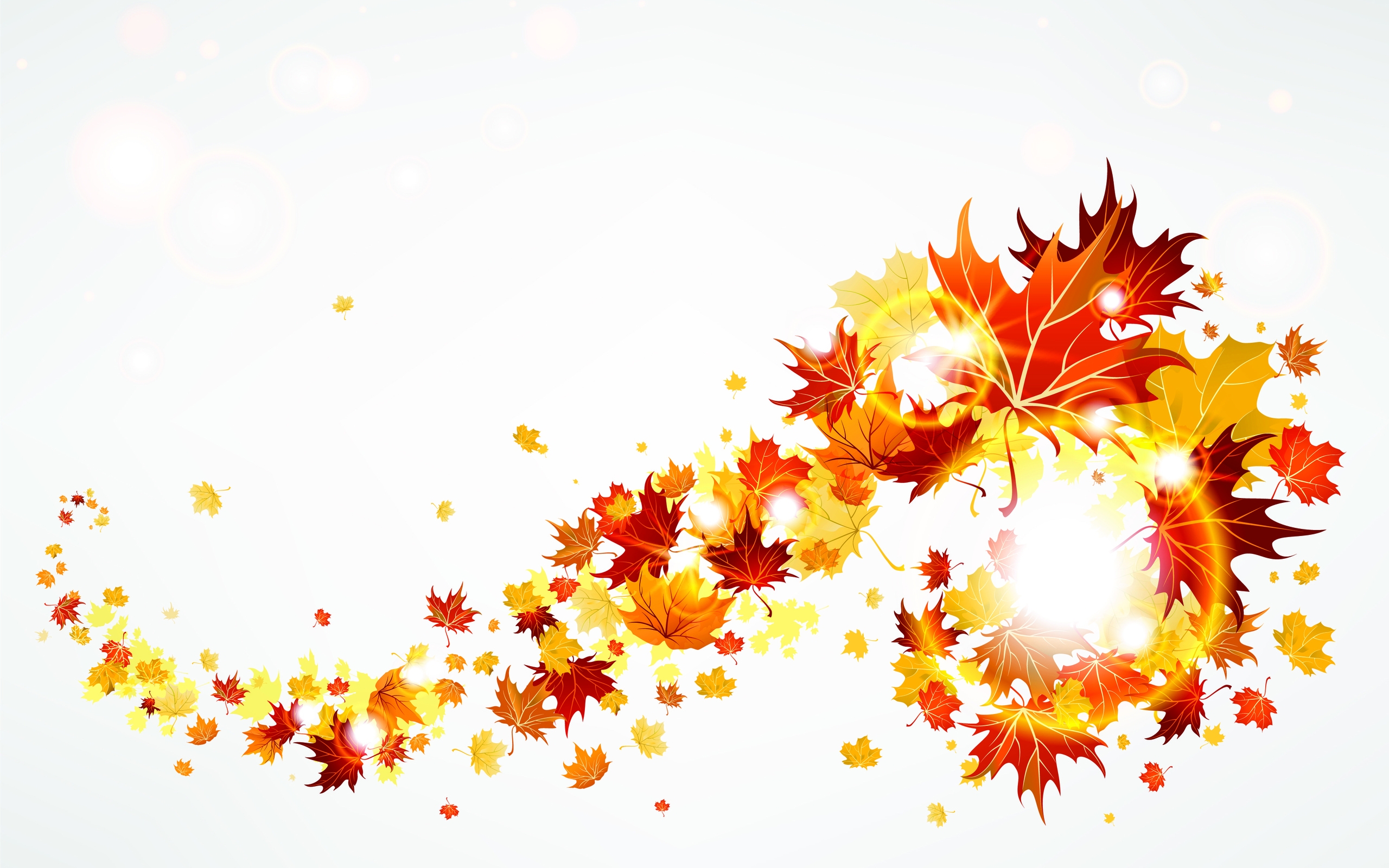 Wallpaper, leaves, maple, autumn, flying 2560x1600