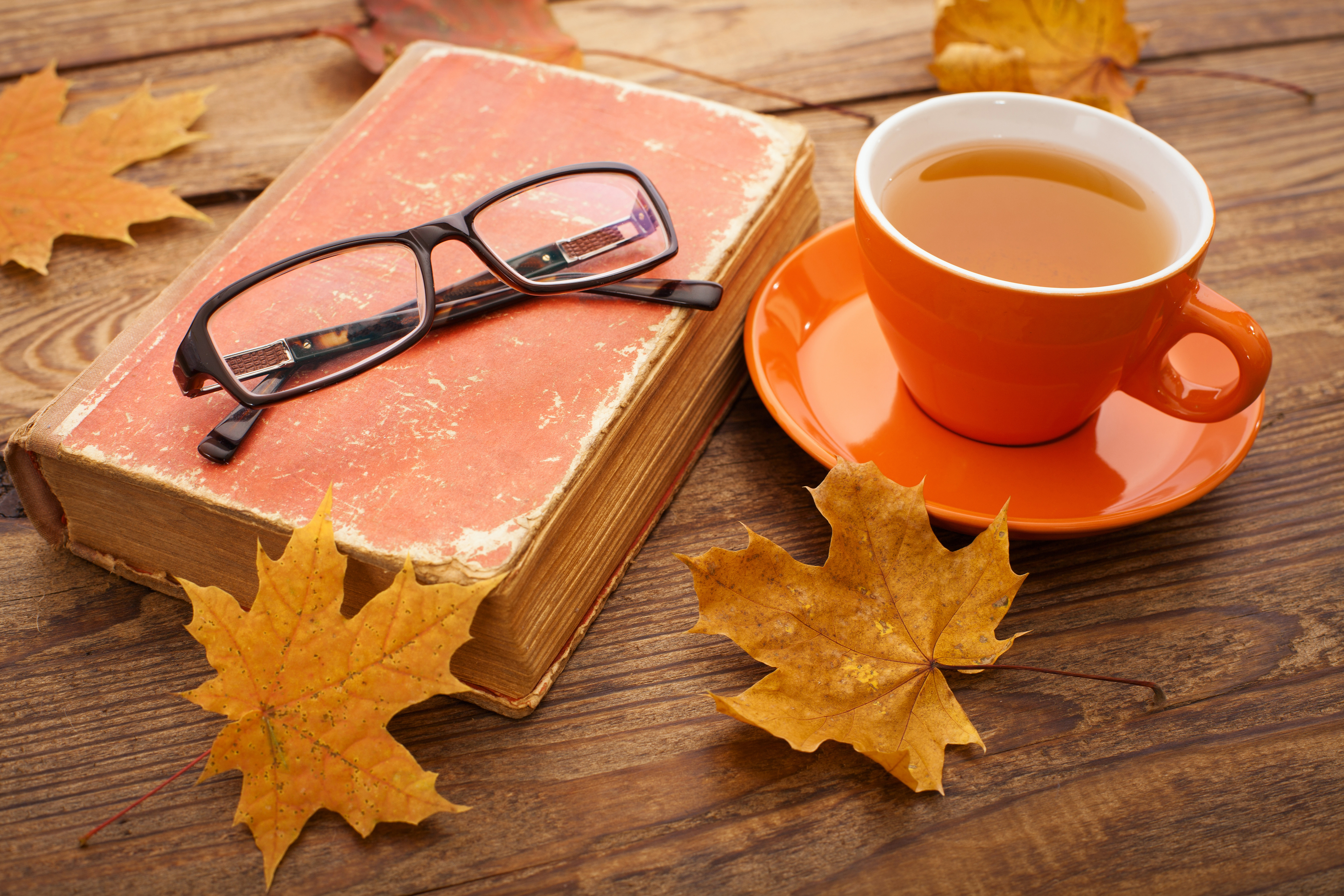Fall Background with Coffee​-Quality Image and Transparent PNG Free Clipart