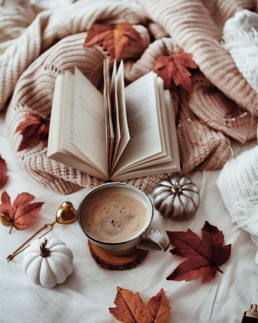 Reading a book in my bed #helloautumn #autumn #fall #decoration #coffee #cold #weather #cozy #leaves #pumpkins. Autumn photography, Hello autumn, Autumn aesthetic