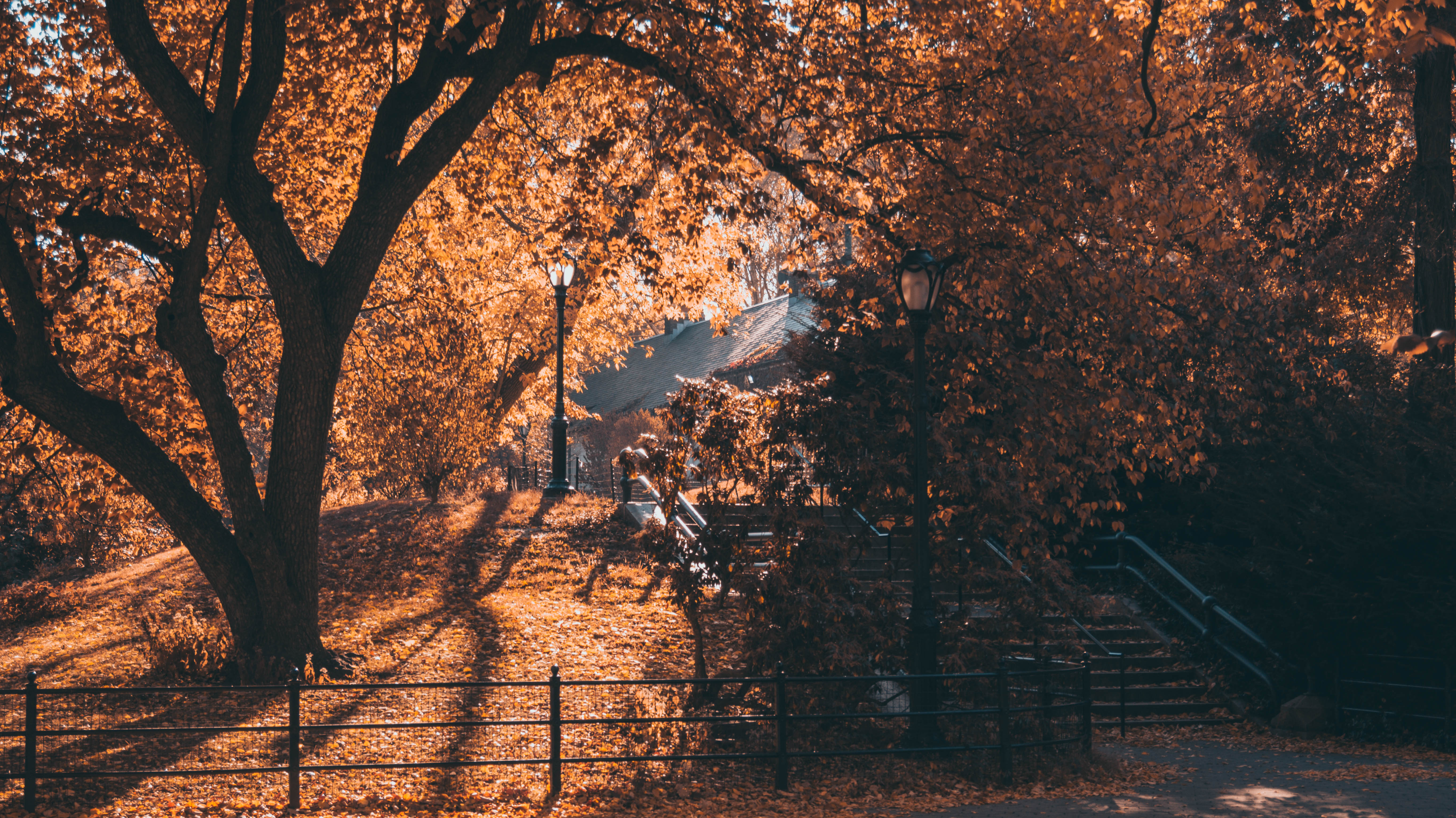#leaves, #trees, #New York City, #Central Park, #fall, #street light, #october, #stairs, wallpaper. Mocah HD Wallpaper