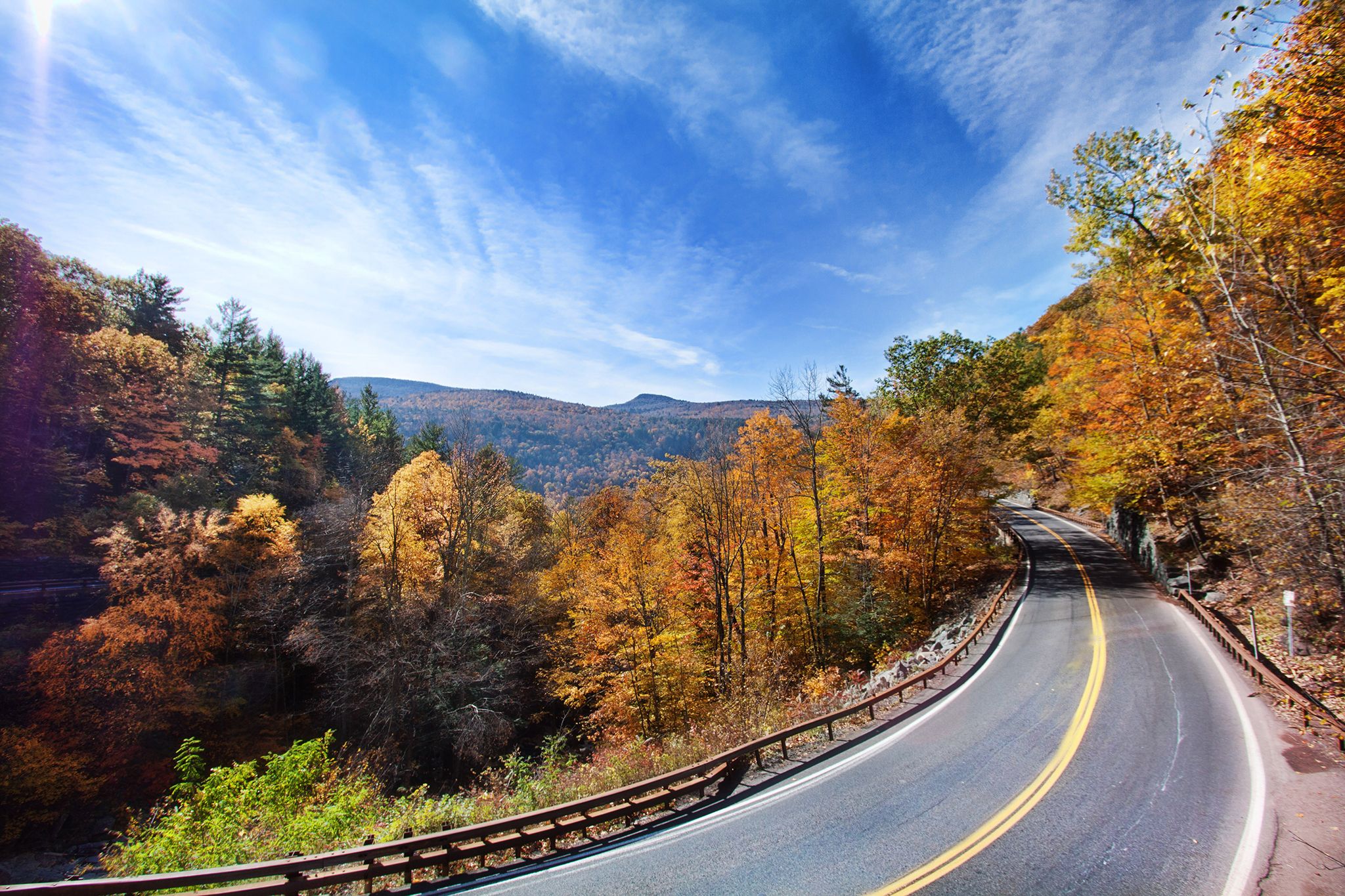 New York State is looking for an official leaf peeper