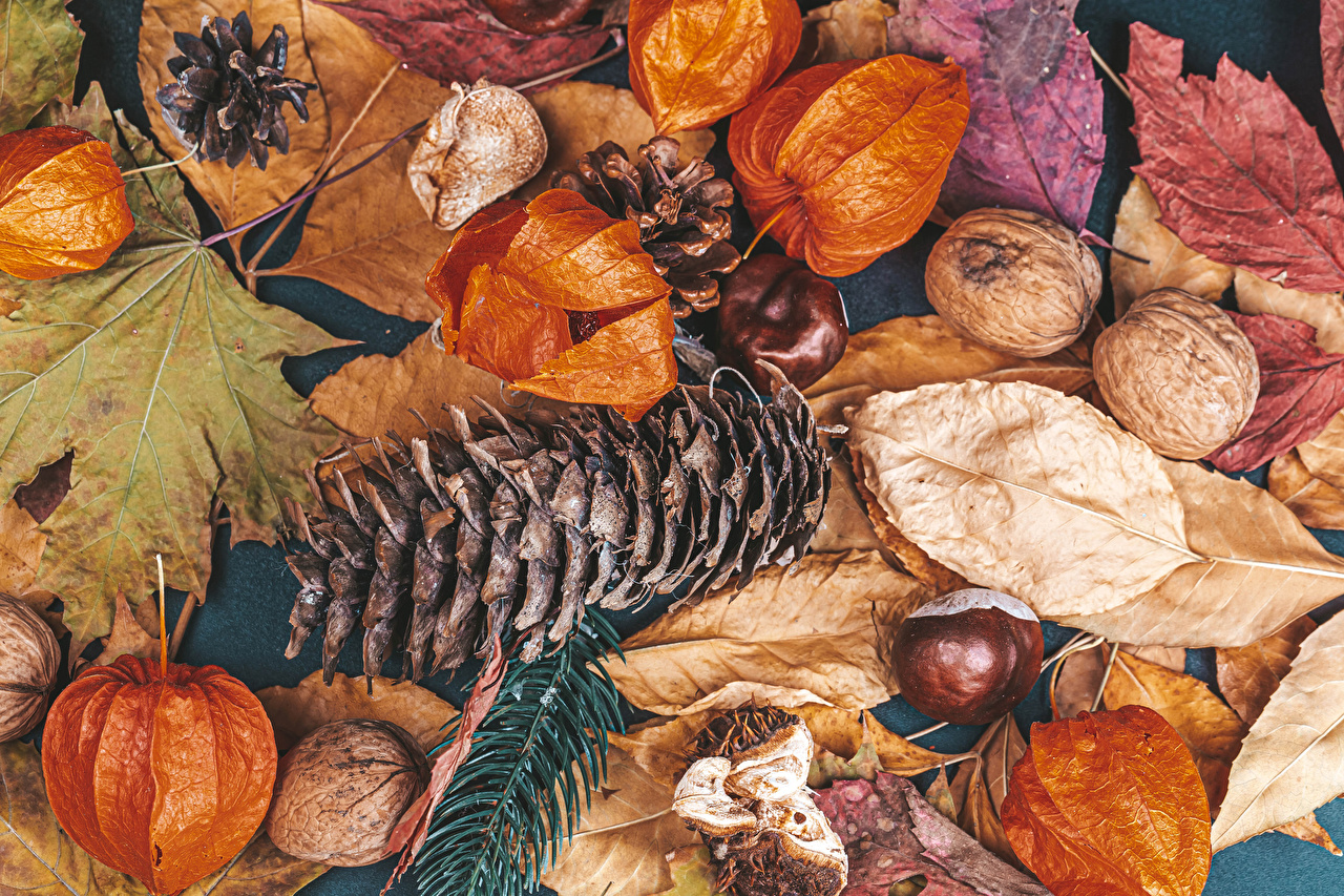 Nuts Autumn Wallpapers - Wallpaper Cave