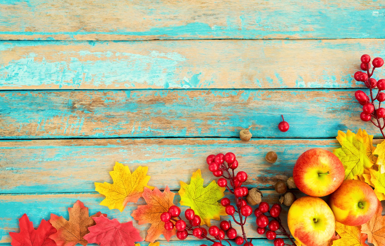 Wallpaper autumn, leaves, berries, background, tree, apples, colorful, nuts, vintage, wood, background, autumn, leaves, maple image for desktop, section еда