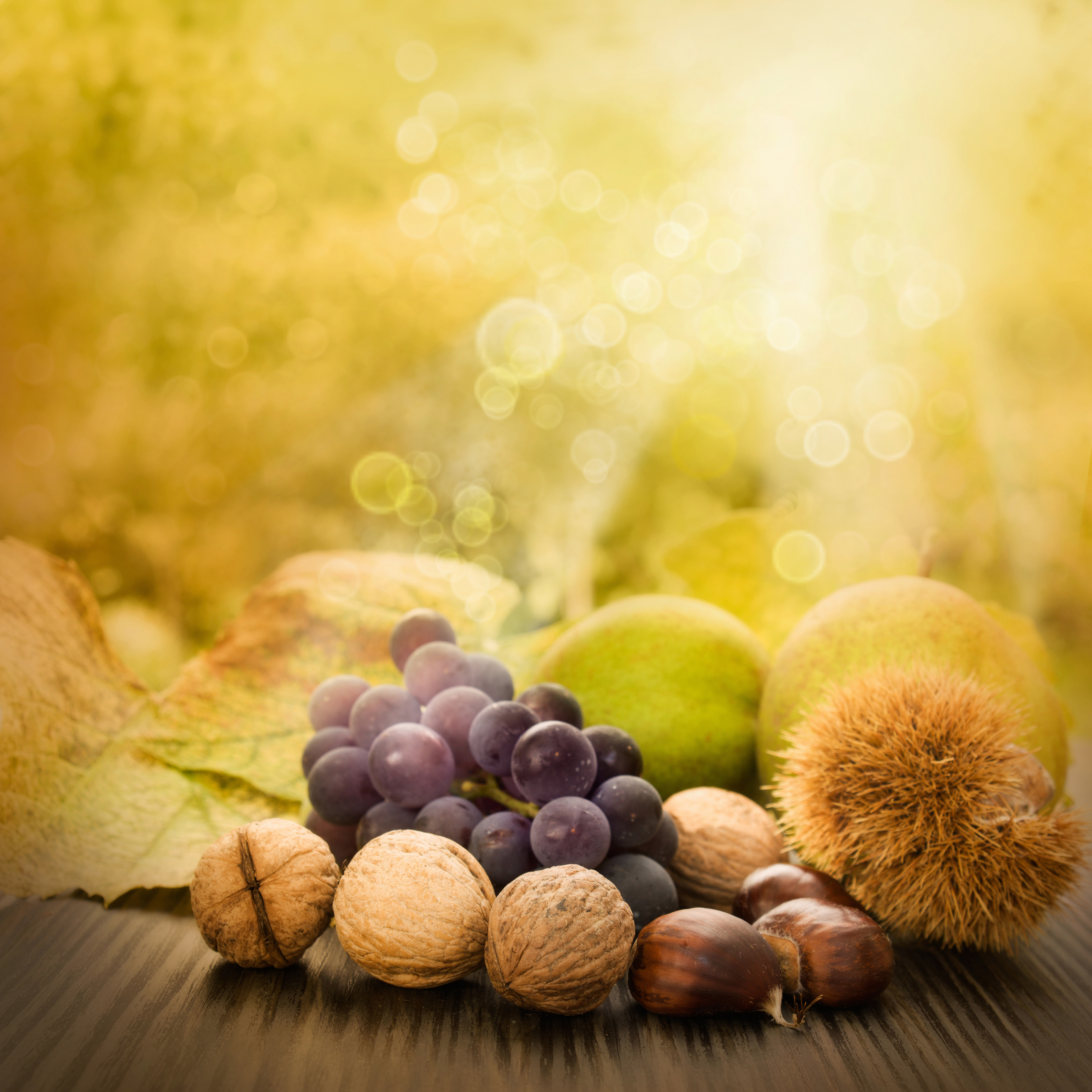Nuts Autumn Wallpapers - Wallpaper Cave