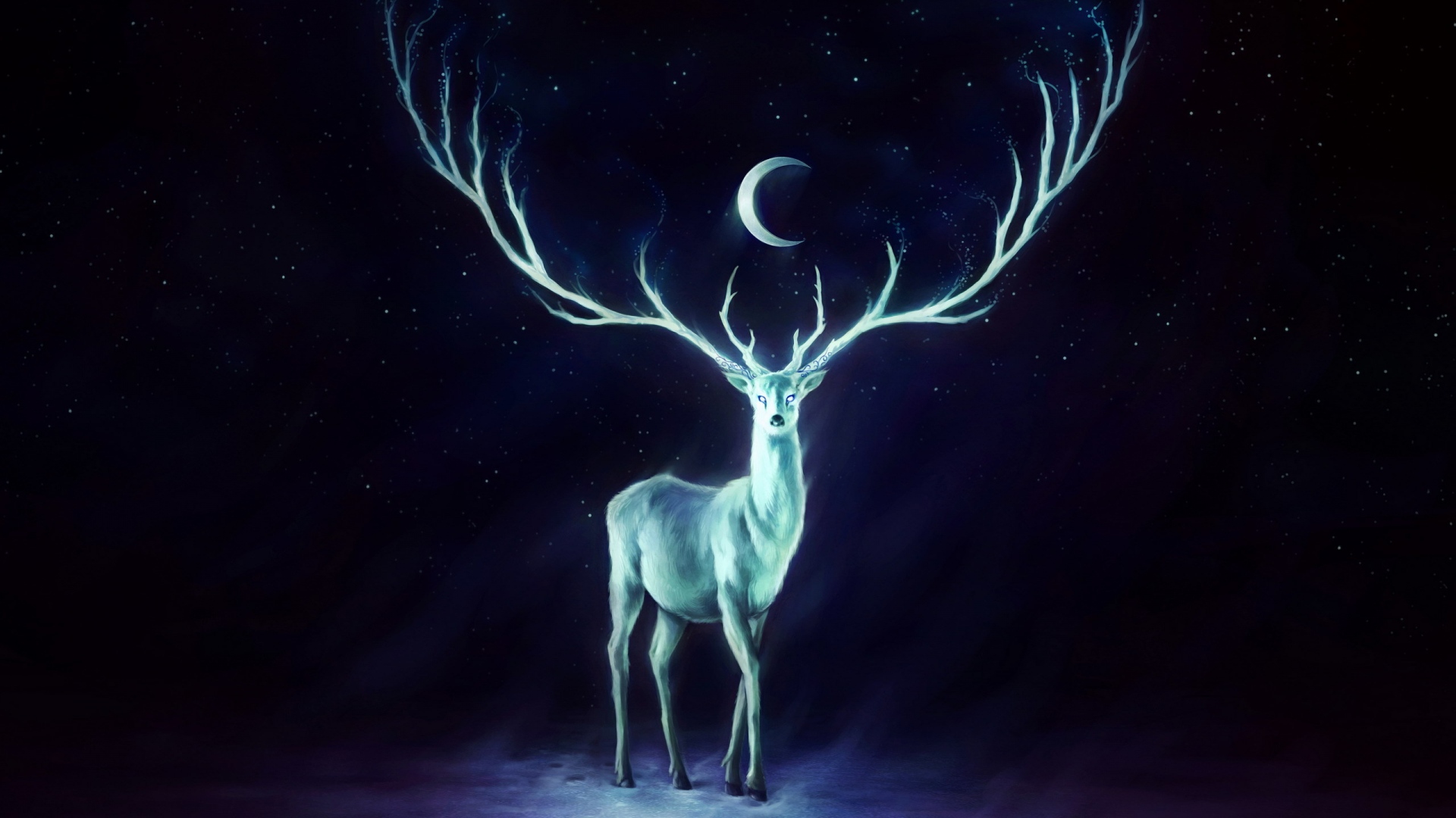Deer Winter Solstice