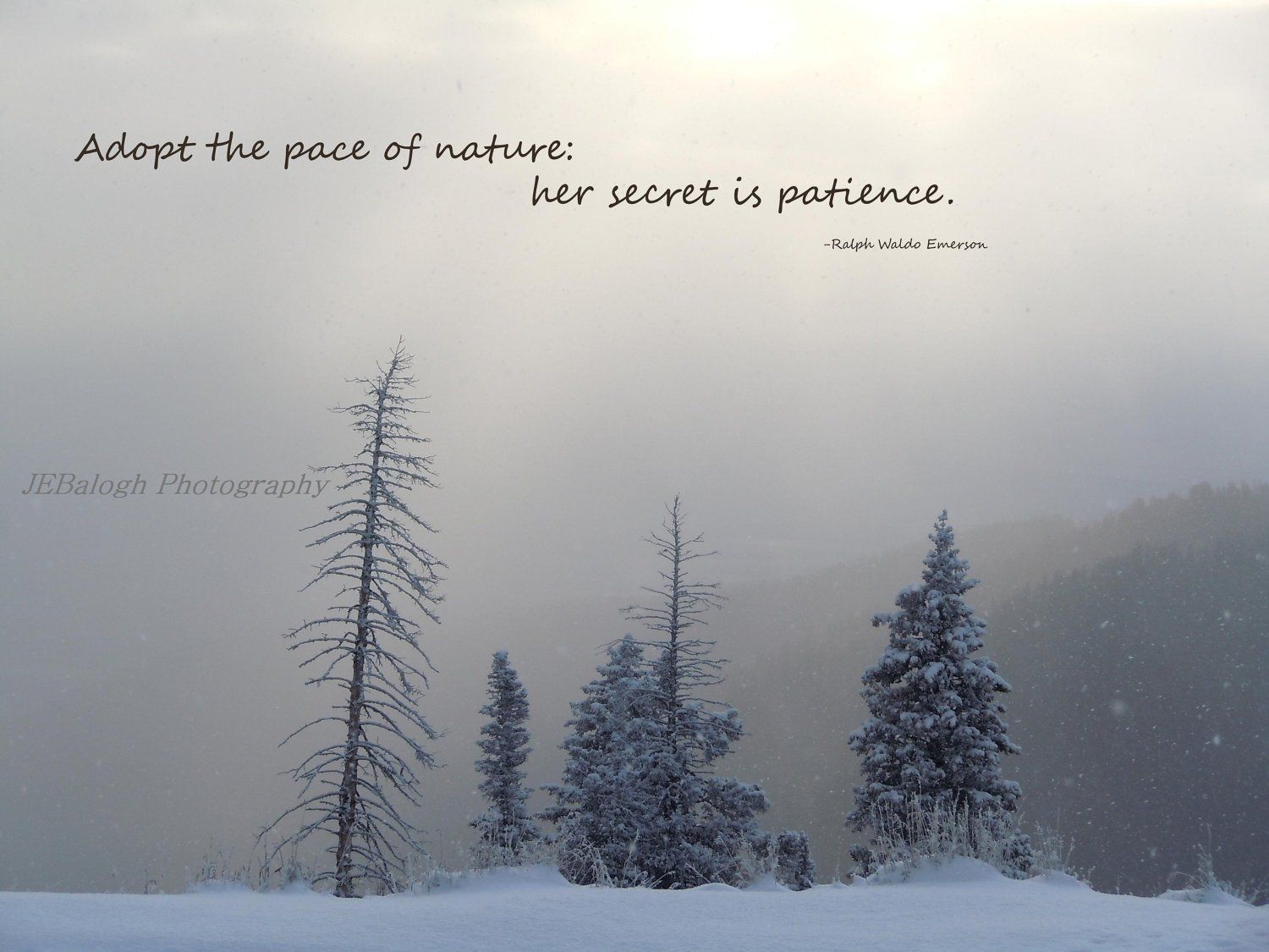 Nature Photography Inspirational Quotes Winter Wonderland. Etsy. Short nature quotes, Quotes about photography, Nature quotes