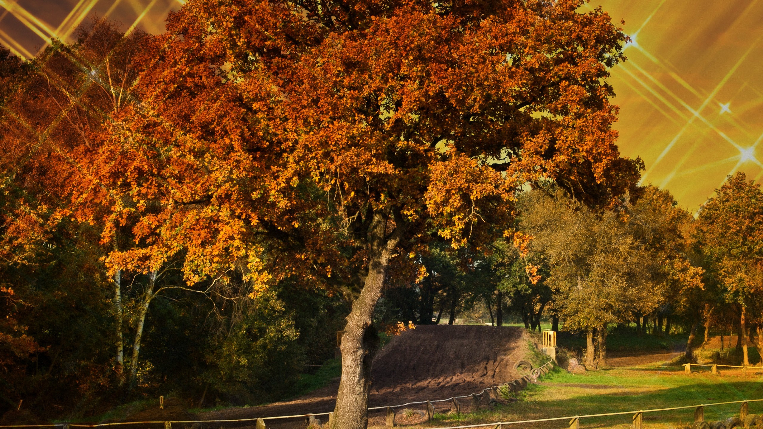 Autumn desktop background. Barbaras HD Wallpaper