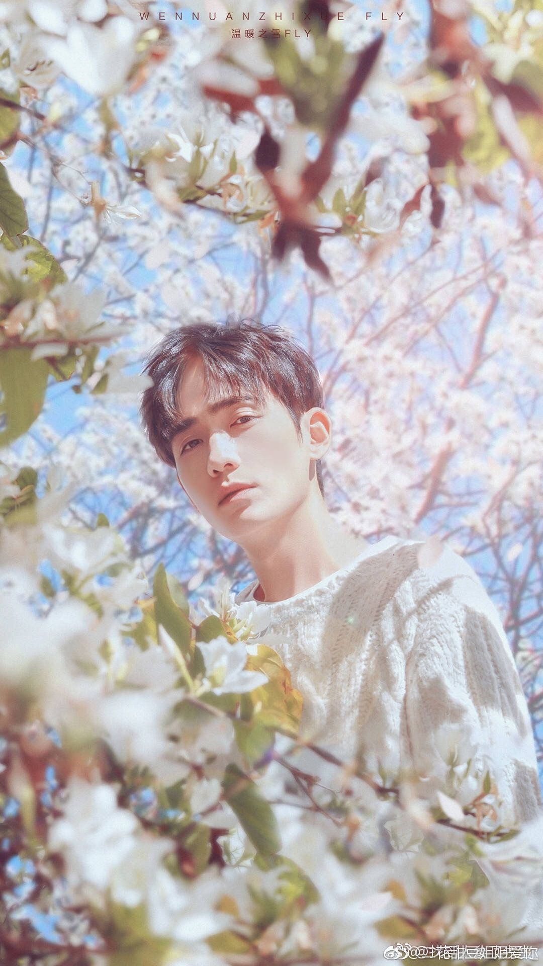 Zhu Yilong 朱一龙. Handsome anime, Photo art, Shen wei