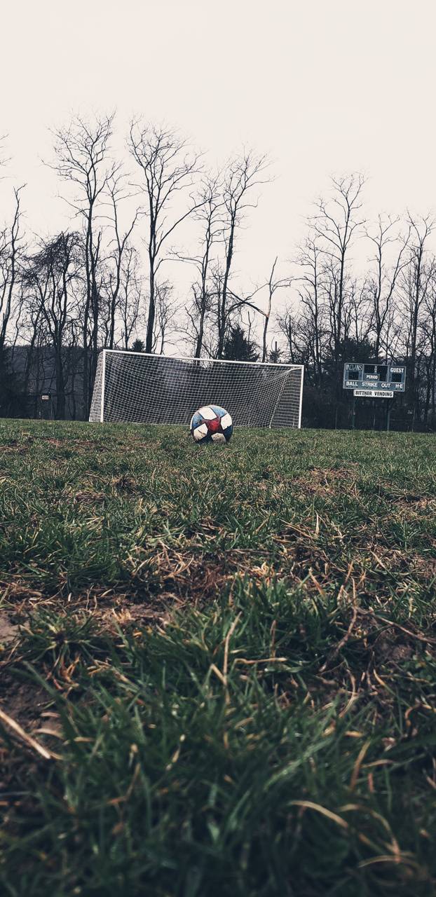 HD Mobile Phone Wallpaper for Background