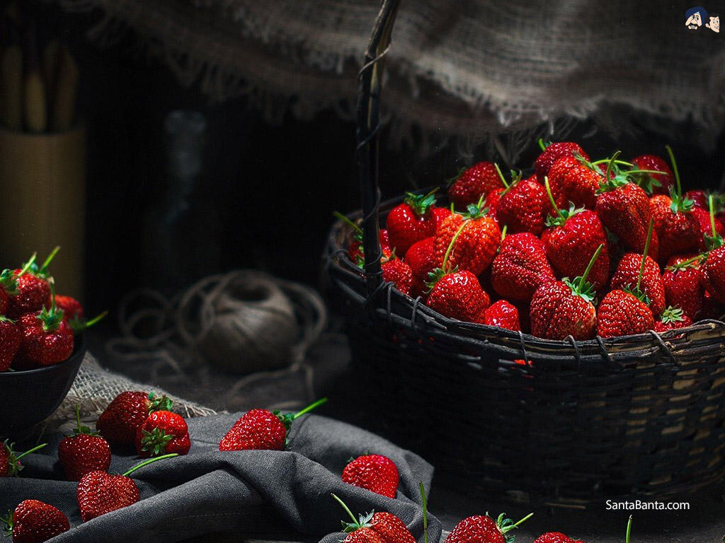 Wallpaper. HD Wallpaper. Ultra HD 4K Wallpaper for Desktop & Mobiles