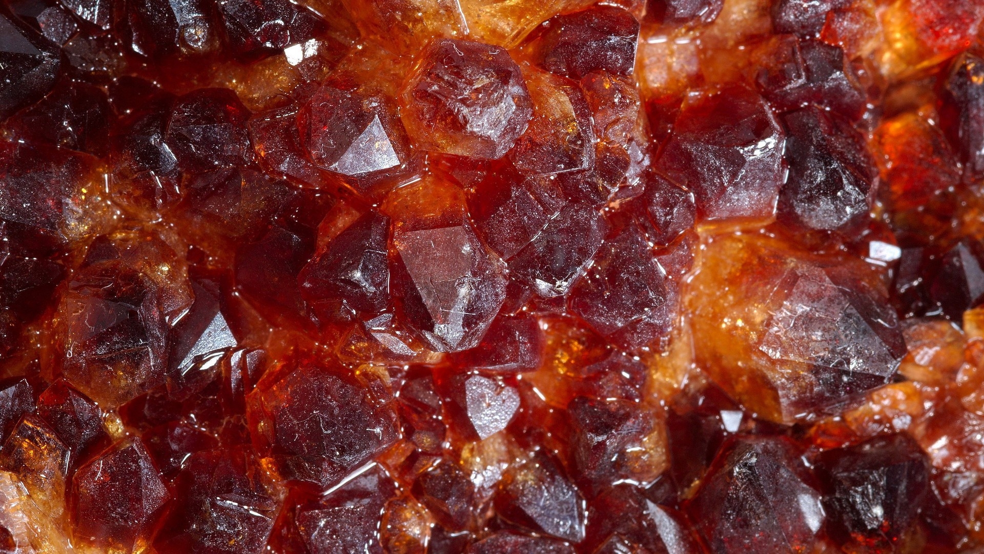 Wallpaper, food, stones, glass, texture, plant, background, produce, close up, medicinal mushroom, date palm, candied fruit 1920x1080