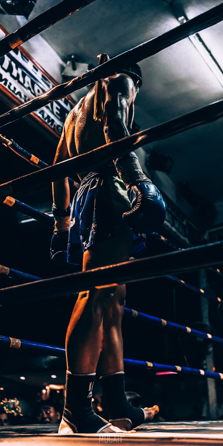a male fighter standing in the ring wearing boxing gloves in chiang mai, for glory, Honor 9S HD download, 720x1440 HD Wallpaper
