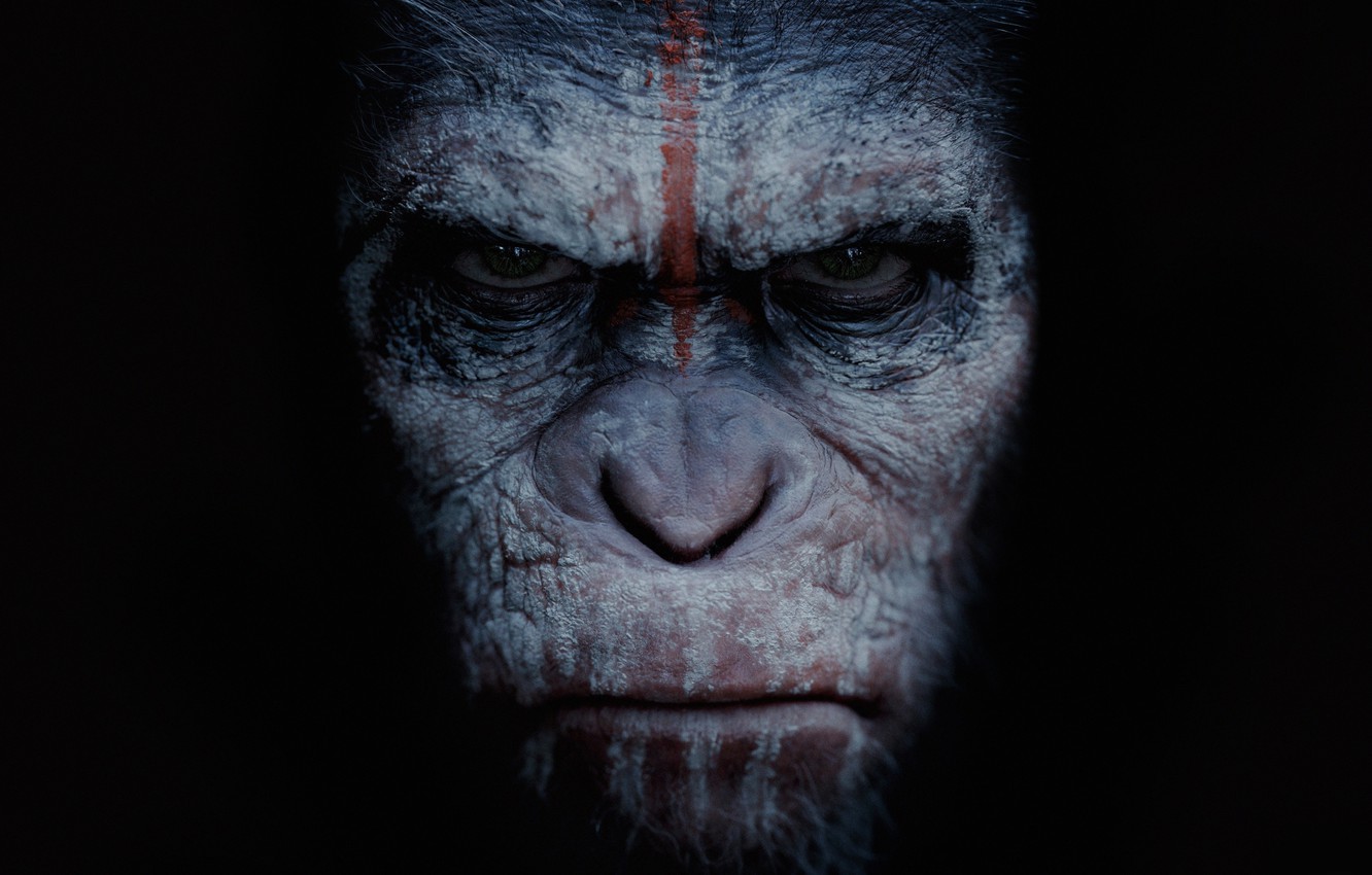 Wallpaper cinema, movie, film, angry, Dawn of the Planet of the Apes, Cesar image for desktop, section фильмы