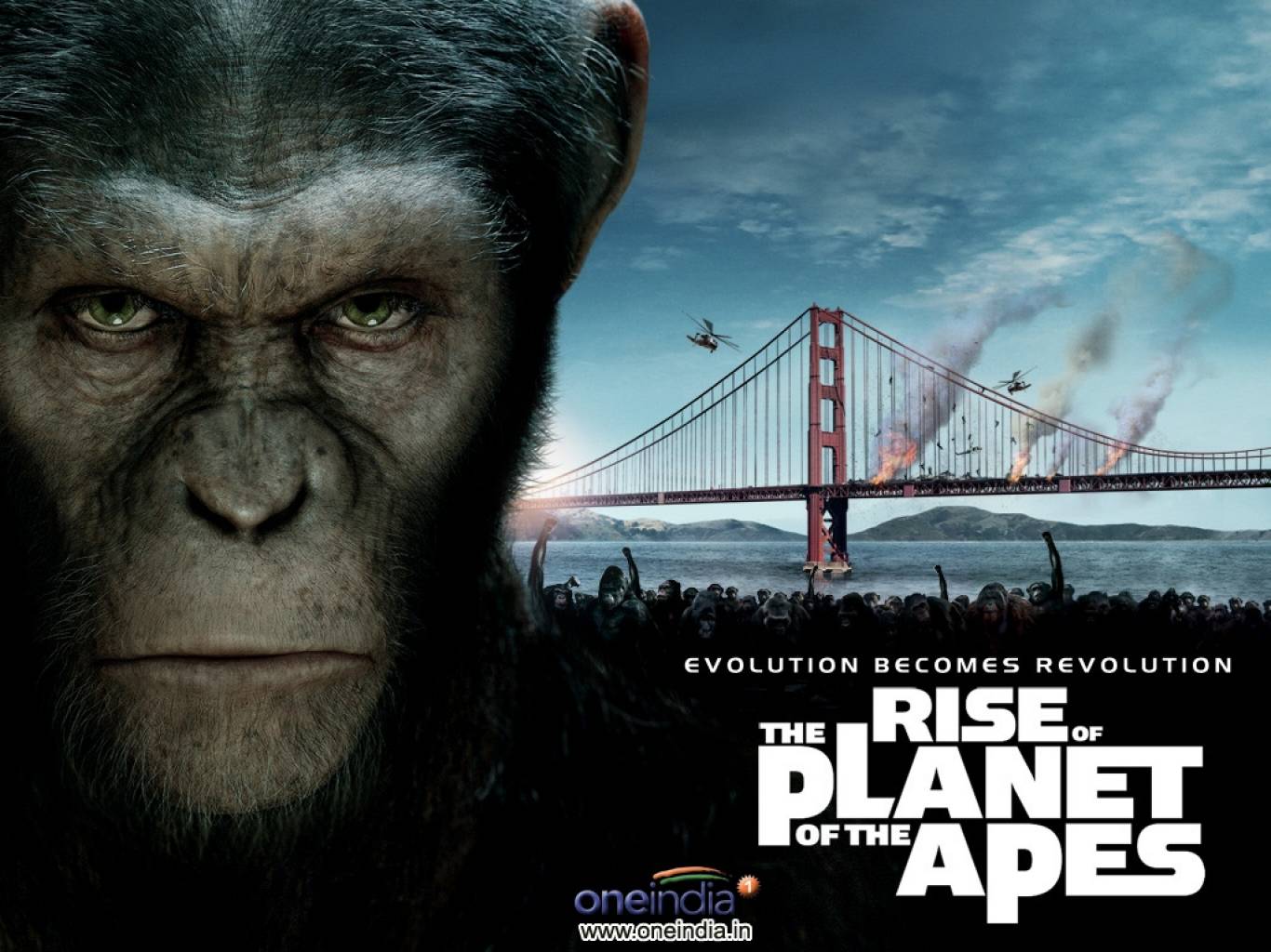 Rise Of The Planet Of The Apes Movie HD Wallpaper. Rise Of The Planet Of The Apes HD Movie Wallpaper Free Download (1080p to 2K)