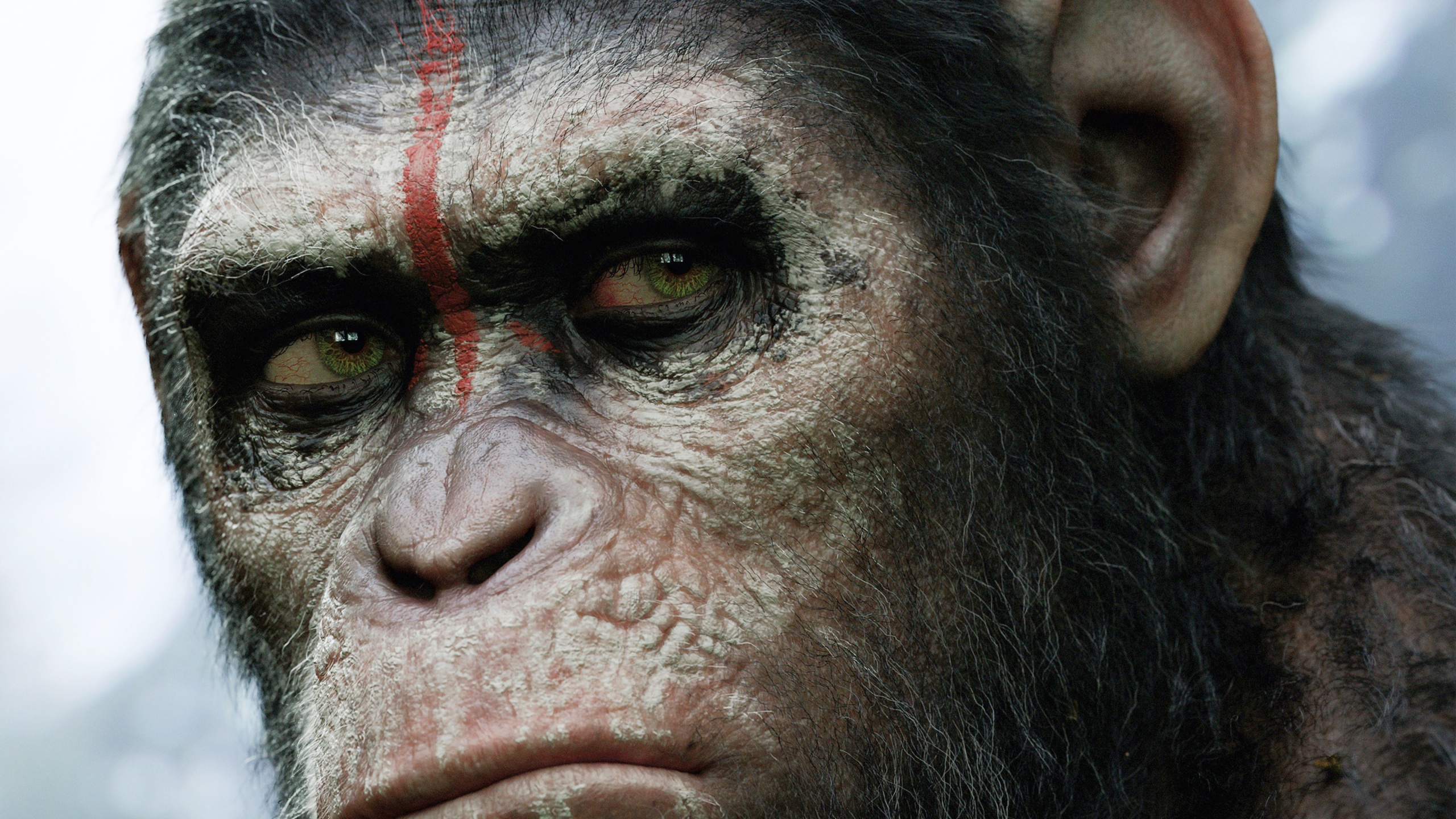Wallpaper 4k Dawn of the Planet of the Apes HD Wallpaper