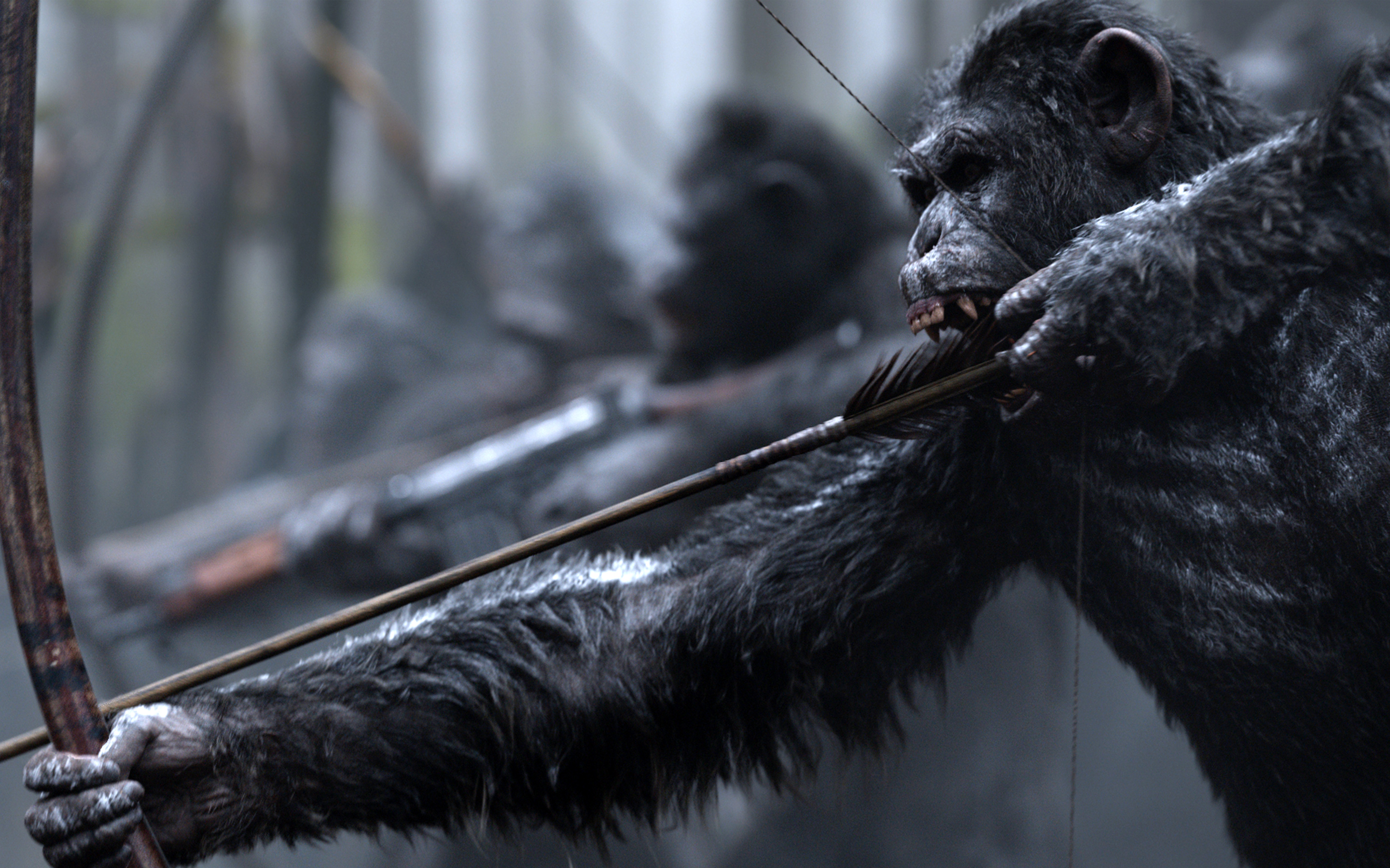 Apes 4K wallpaper for your desktop or mobile screen free and easy to download