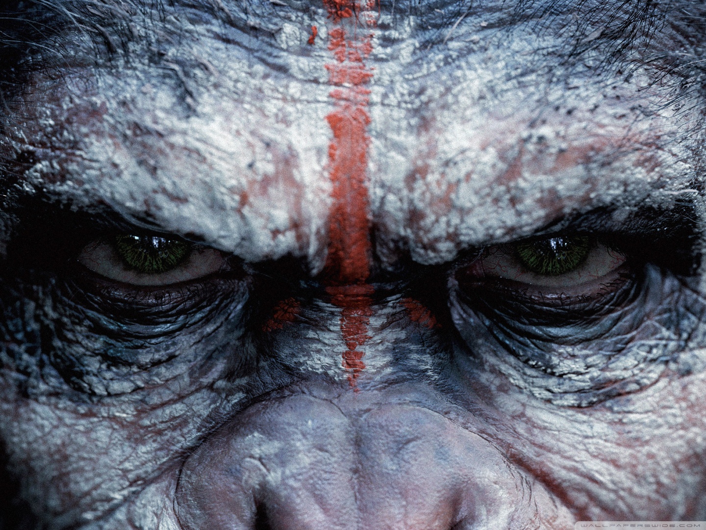 Dawn of the Planet of the Apes Caesar Ultra HD Desktop Background Wallpaper for 4K UHD TV, Multi Display, Dual Monitor, Tablet