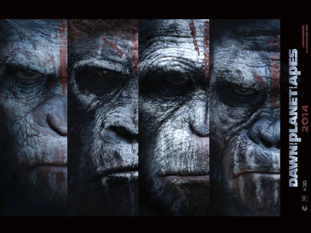 Dawn of the Planet of the Apes Movie HD Wallpaper. Dawn of the Planet of the Apes HD Movie Wallpaper Free Download (1080p to 2K)