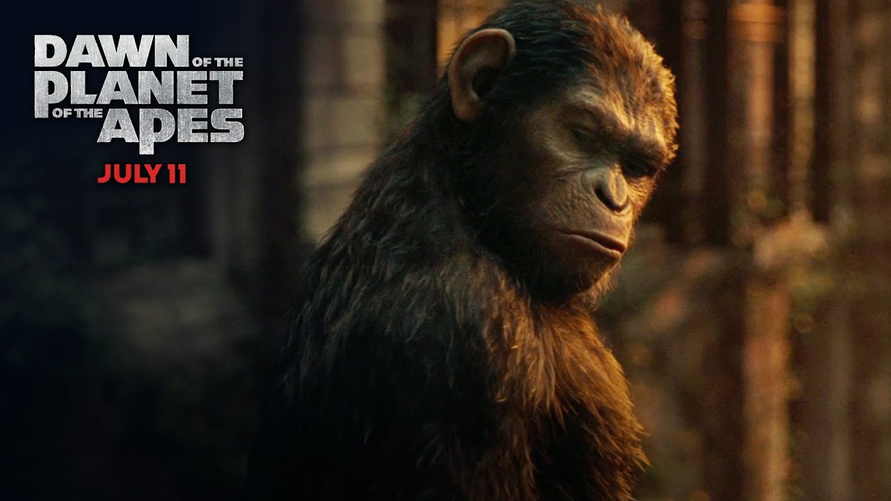 Planet Of The Apes HD Wallpaper