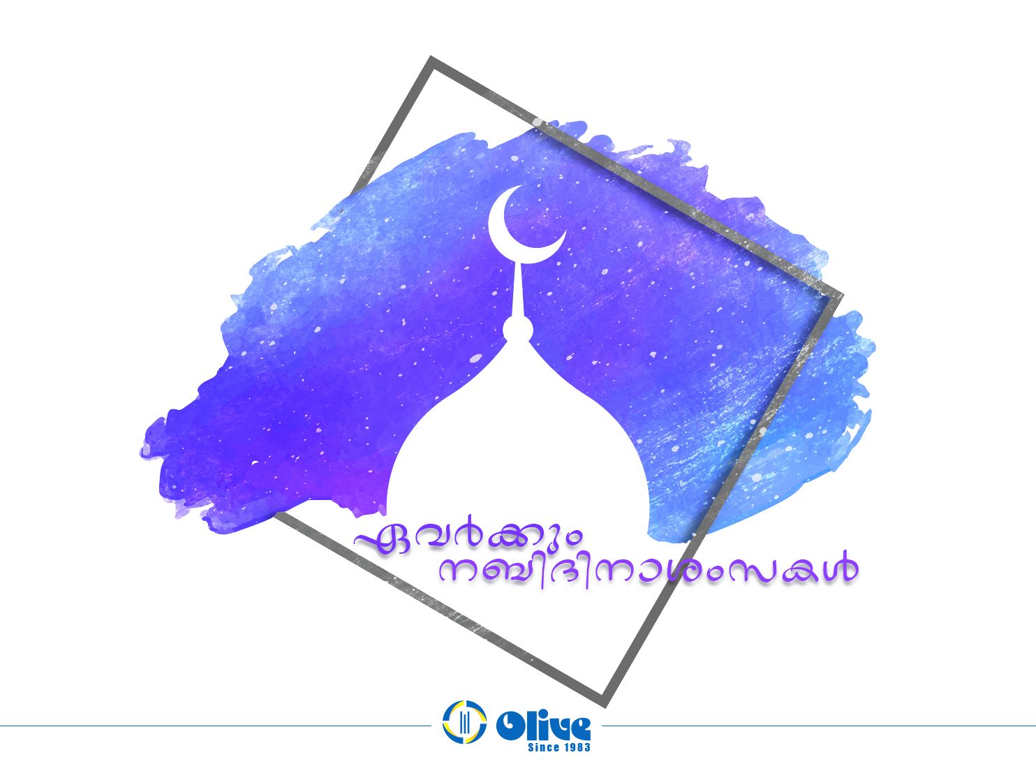 Olive News, Banners, Offers !!