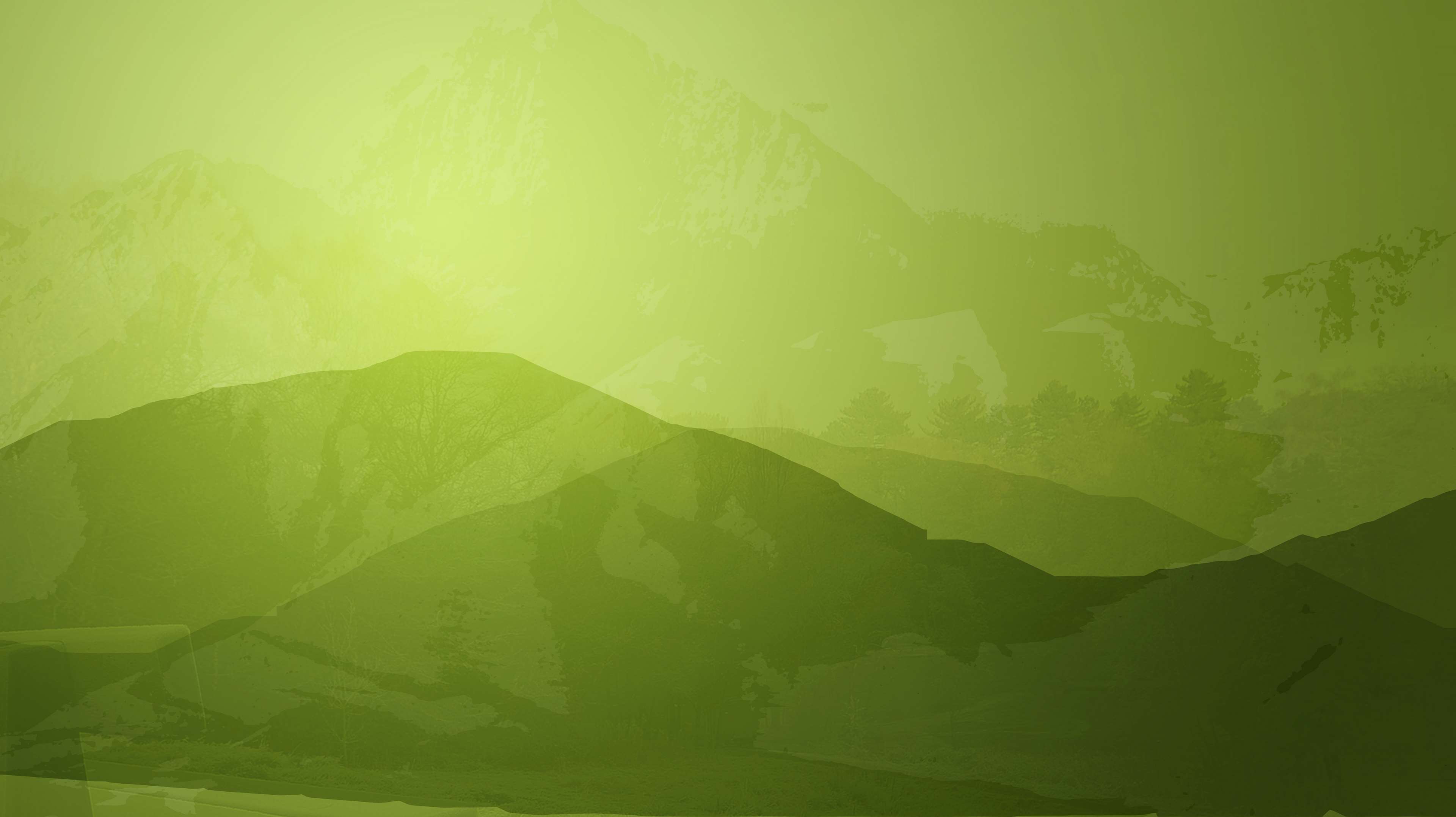 evergreen, green, green mountain, green natue, green tea, hill, hilly, mountains, nature, yellow, yellow green 4k wallpaper Gallery HD Wallpaper
