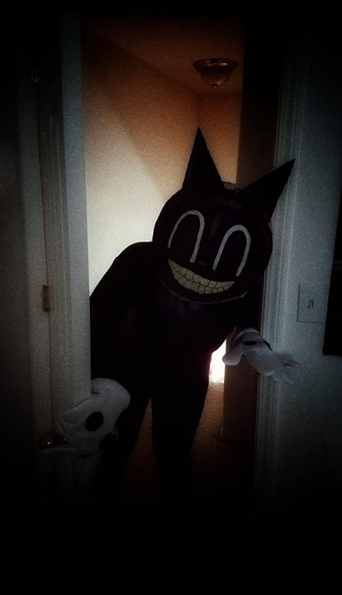 Cartoon Cat Wallpaper Cat Wallpaper HD iPhone