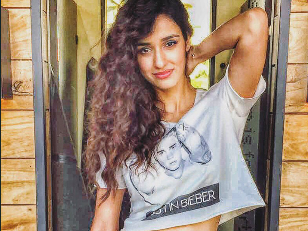 disha patani HD wallpaper, clothing, beauty, cool, photo shoot, long hair, t shirt, muscle, smile, abdomen, photography
