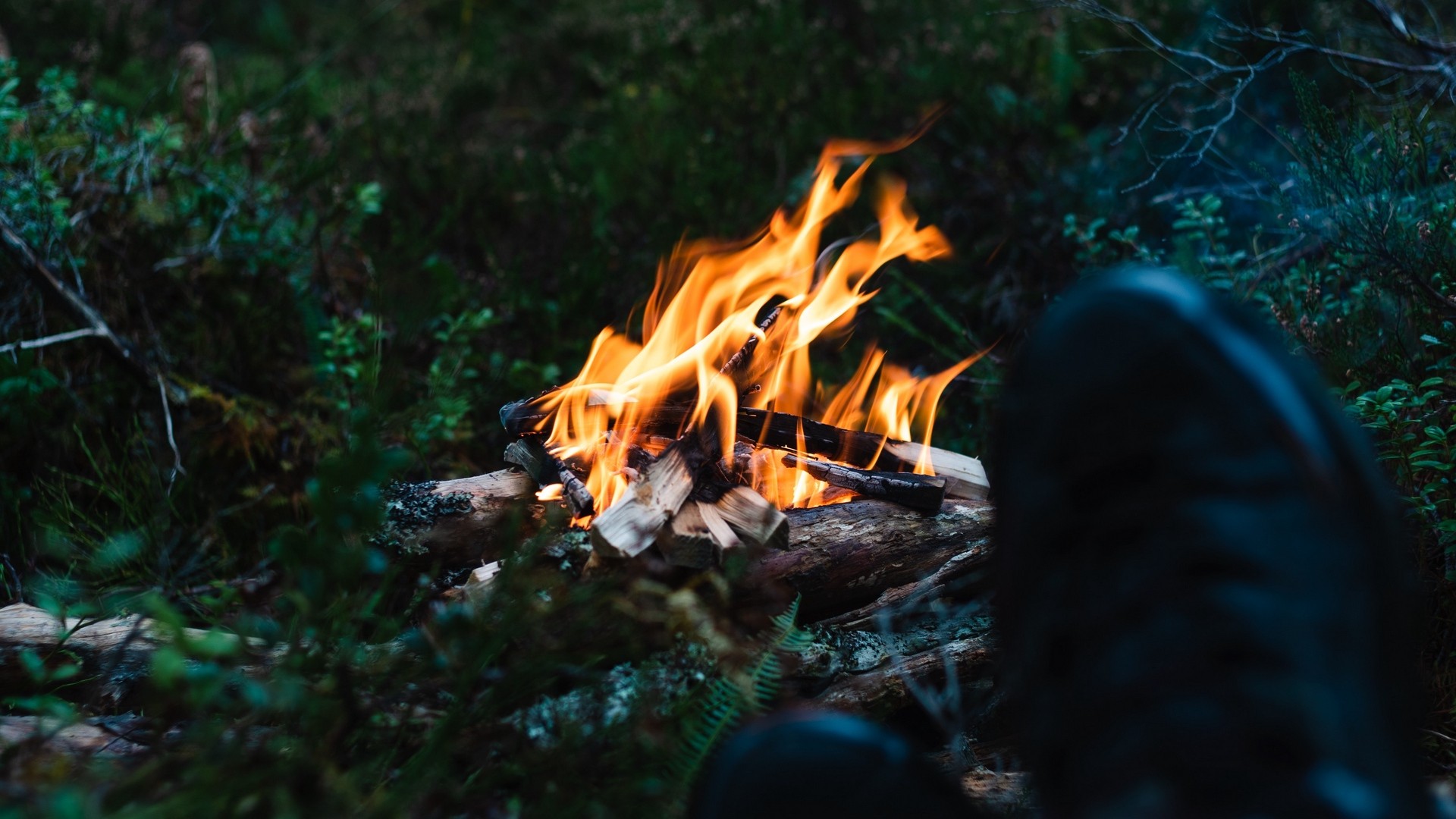 Bonfire, fire, legs, camping, recreation, grass. picture, photo, desktop wallpaper