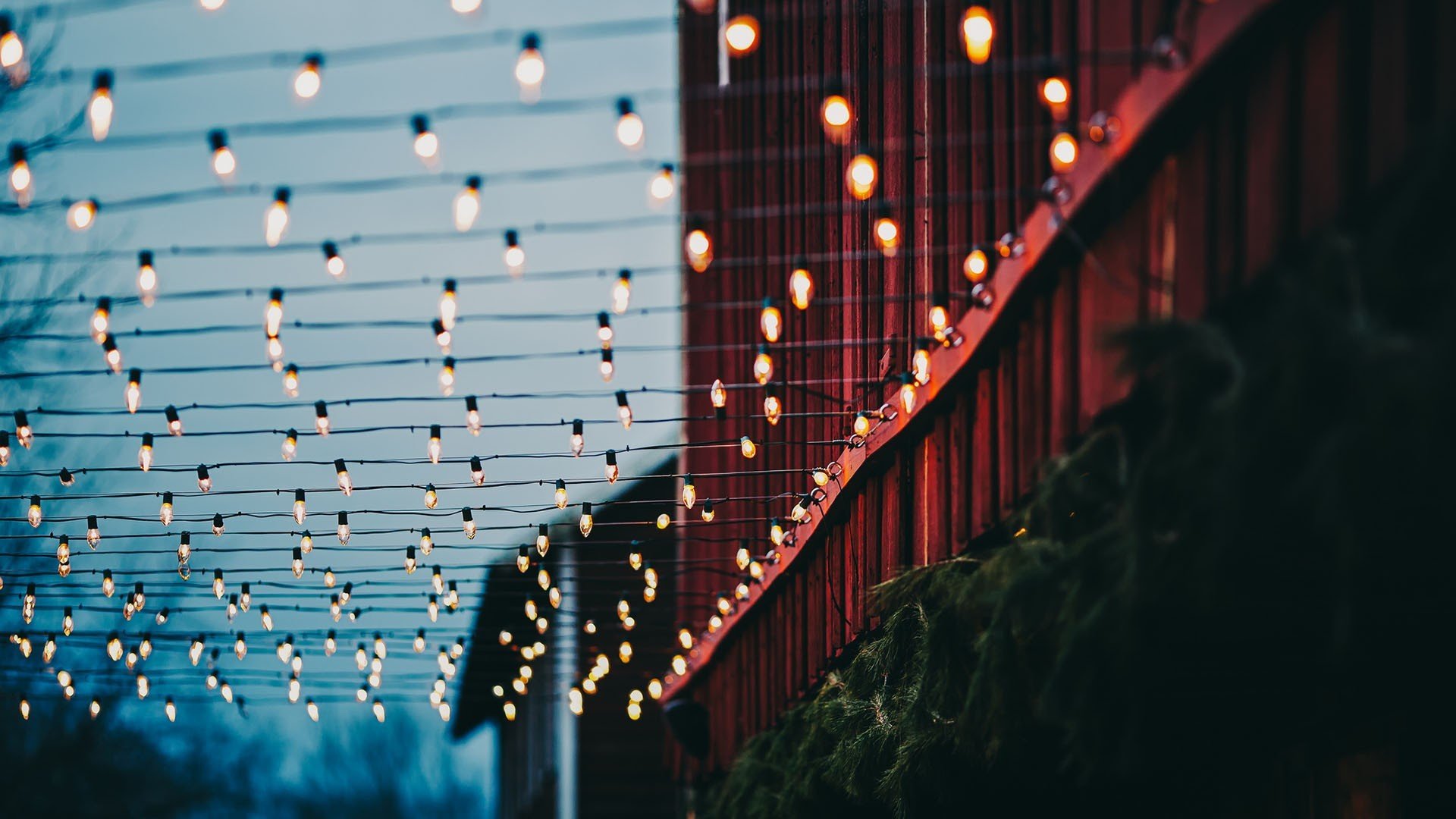 Wallpaper, sunlight, night, building, red, reflection, plants, skyscraper, blue, evening, lamp, bokeh, christmas lights, wires, light, color, lighting, line, stage, darkness 1920x1080