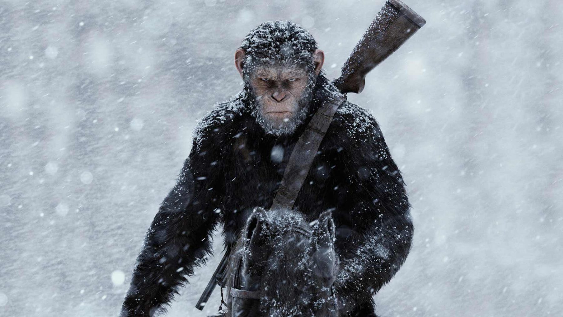 War for the Planet of the Apes HD Wallpapers.