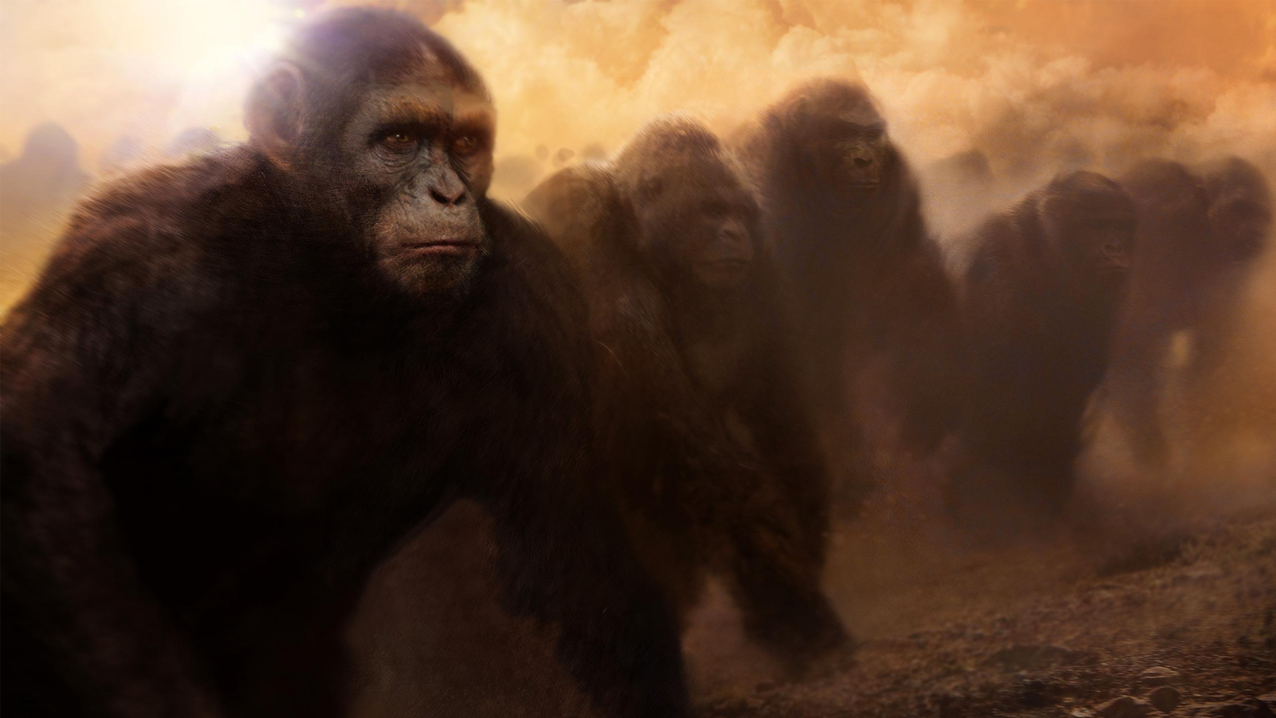 Rise Of The Planet Of The Apes Wallpapers Hd Download.