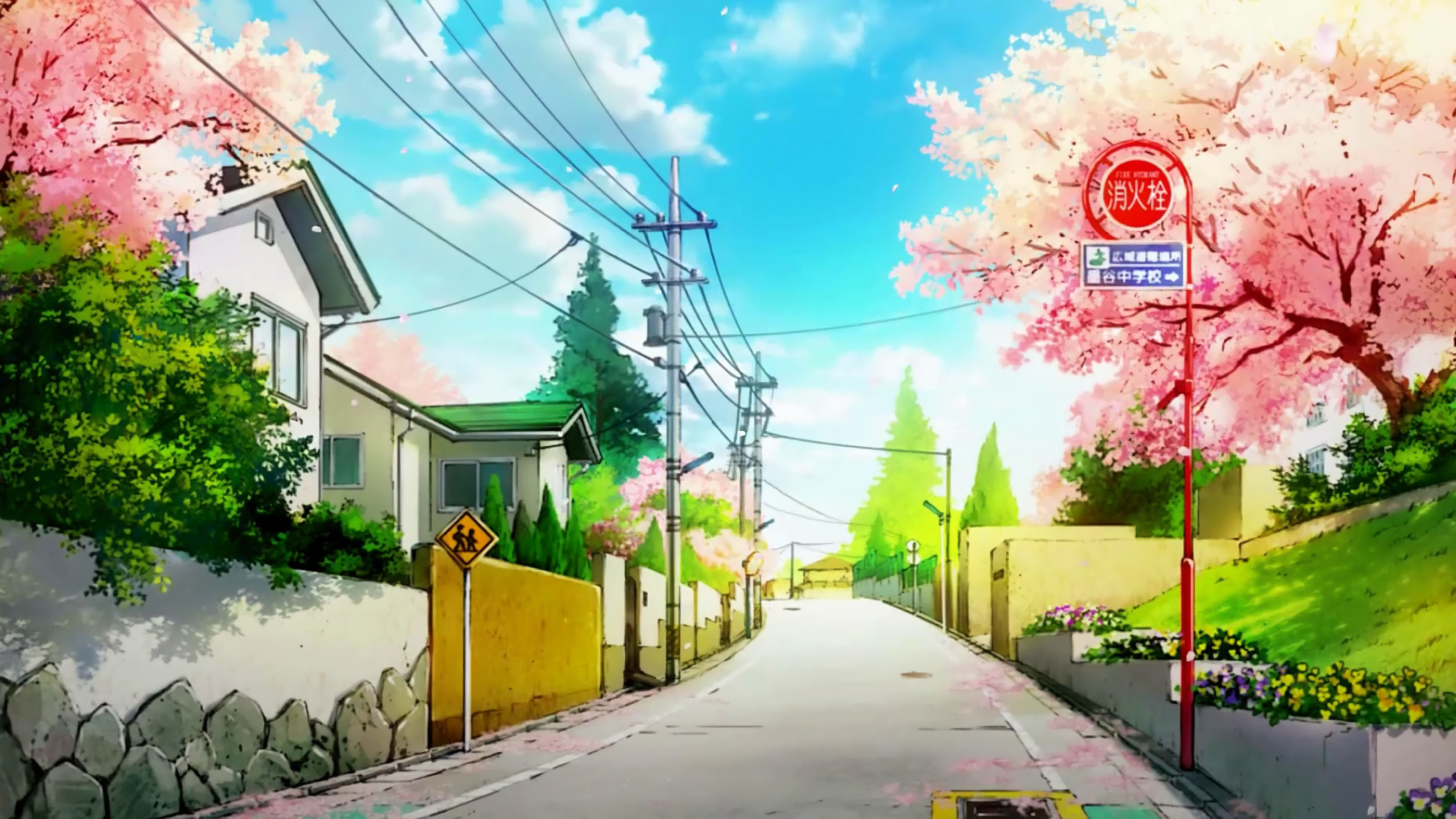 Kickass Anime Wallpaper Cherry Blossom Pics
