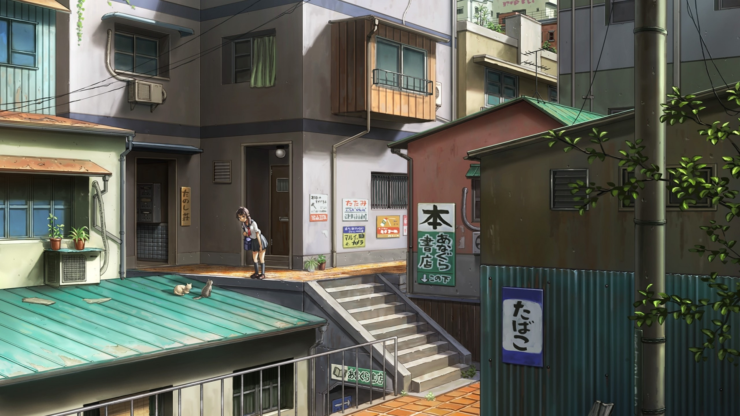 Download 2560x1440 Anime Streets, Buildings, Cats, Warm, Stairs Wallpaper for iMac 27 inch