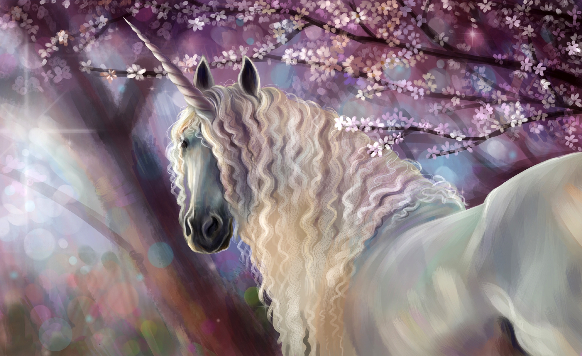 unicorn HD wallpaper, background
