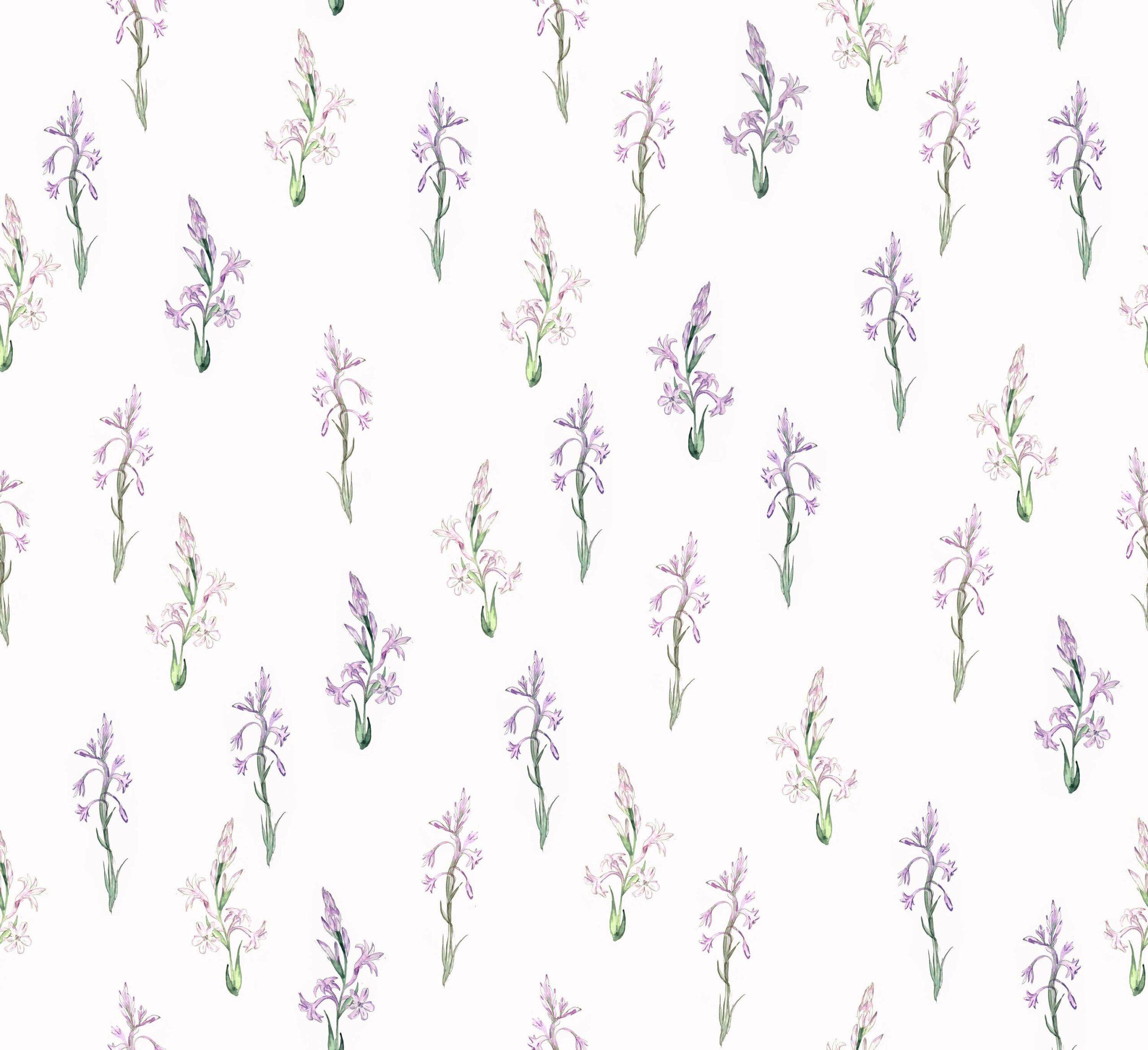 Tuberose (purple) WALLPAPER.COM & Foto Tapeten Von Renommierten Designern. Gestalte Deine Eigene Fototapete In Unserem Tapetenshop. Hochwertige Design Wallpaper, Trend Und Luxustapeten Für Heim & Gewerbe