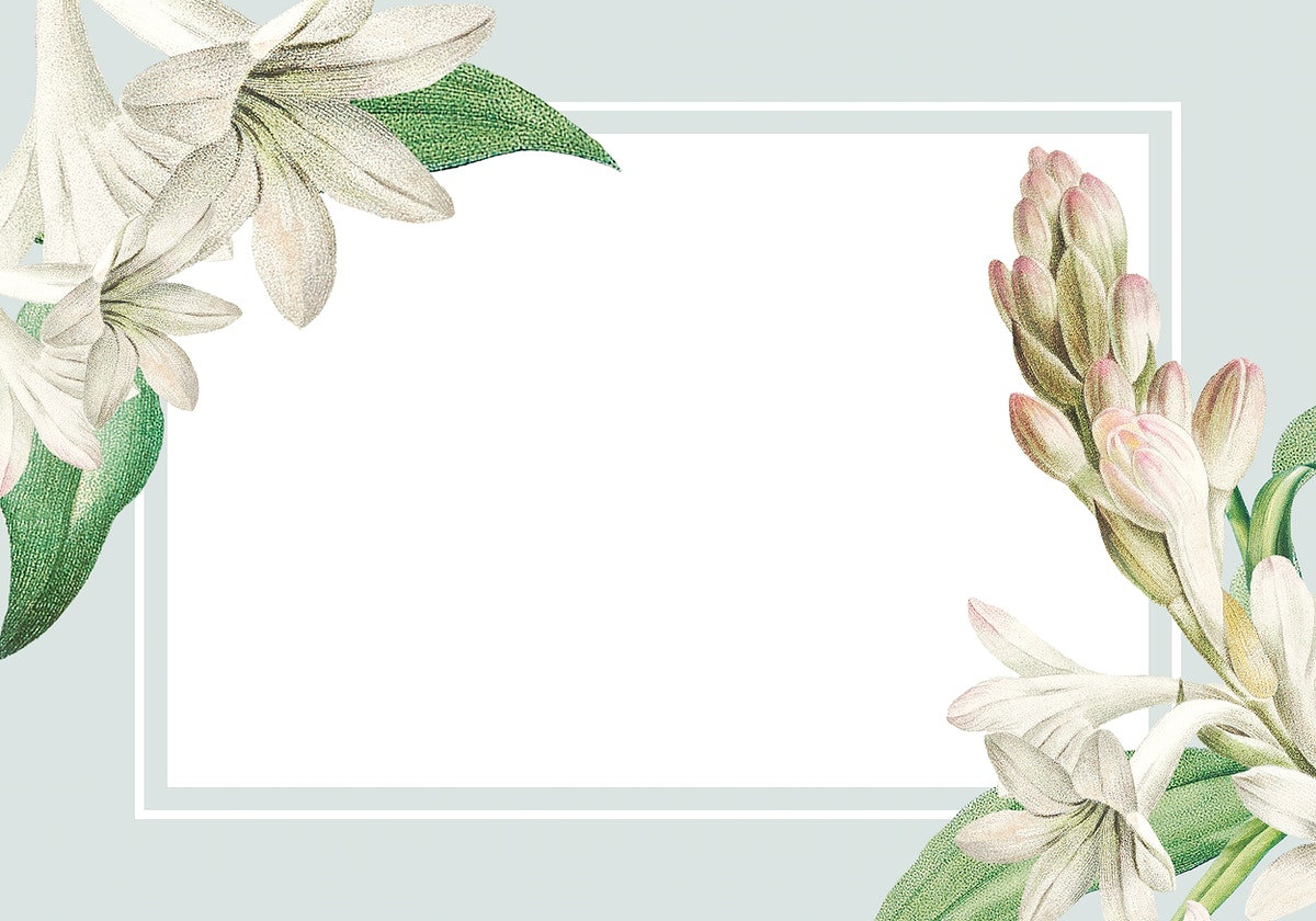Tuberose Image Wallpaper